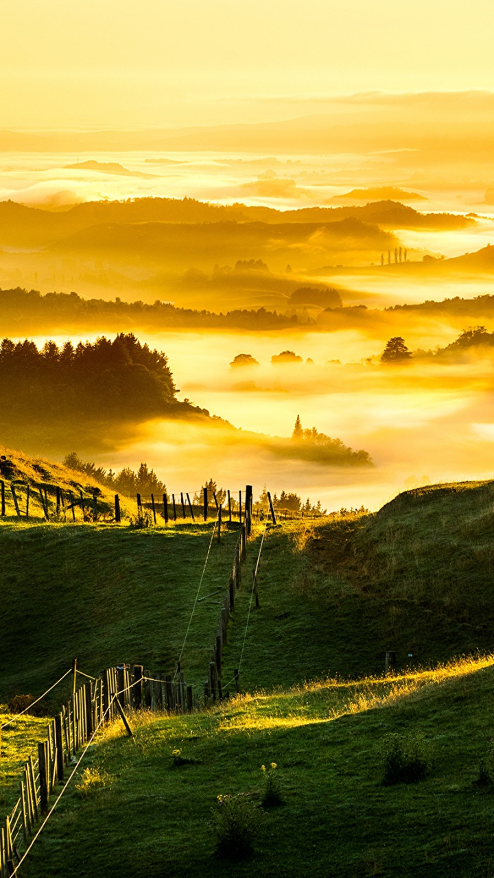 Tagsüber Grüne Wiese Unter Bewölktem Himmel. Wallpaper in 720x1280 Resolution