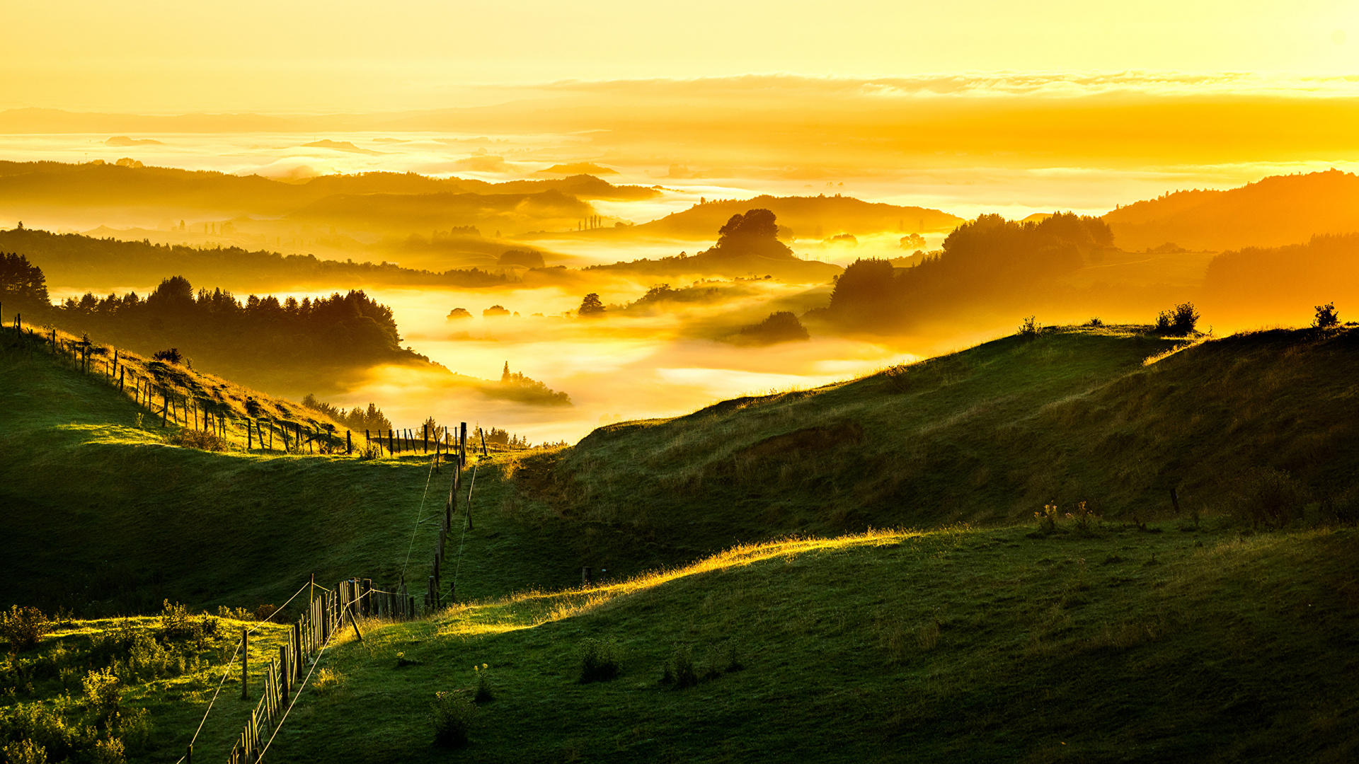 Green Grass Field Under Cloudy Sky During Daytime. Wallpaper in 1920x1080 Resolution