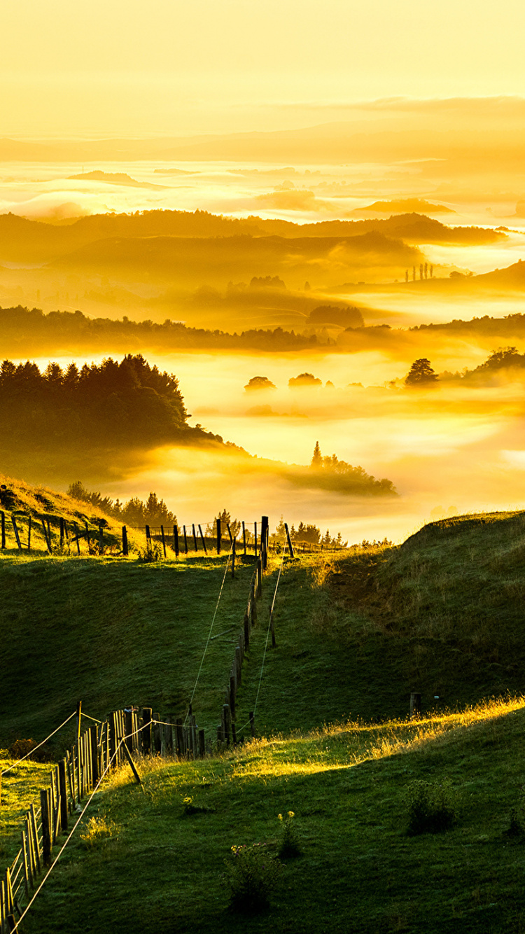 Green Grass Field Under Cloudy Sky During Daytime. Wallpaper in 750x1334 Resolution