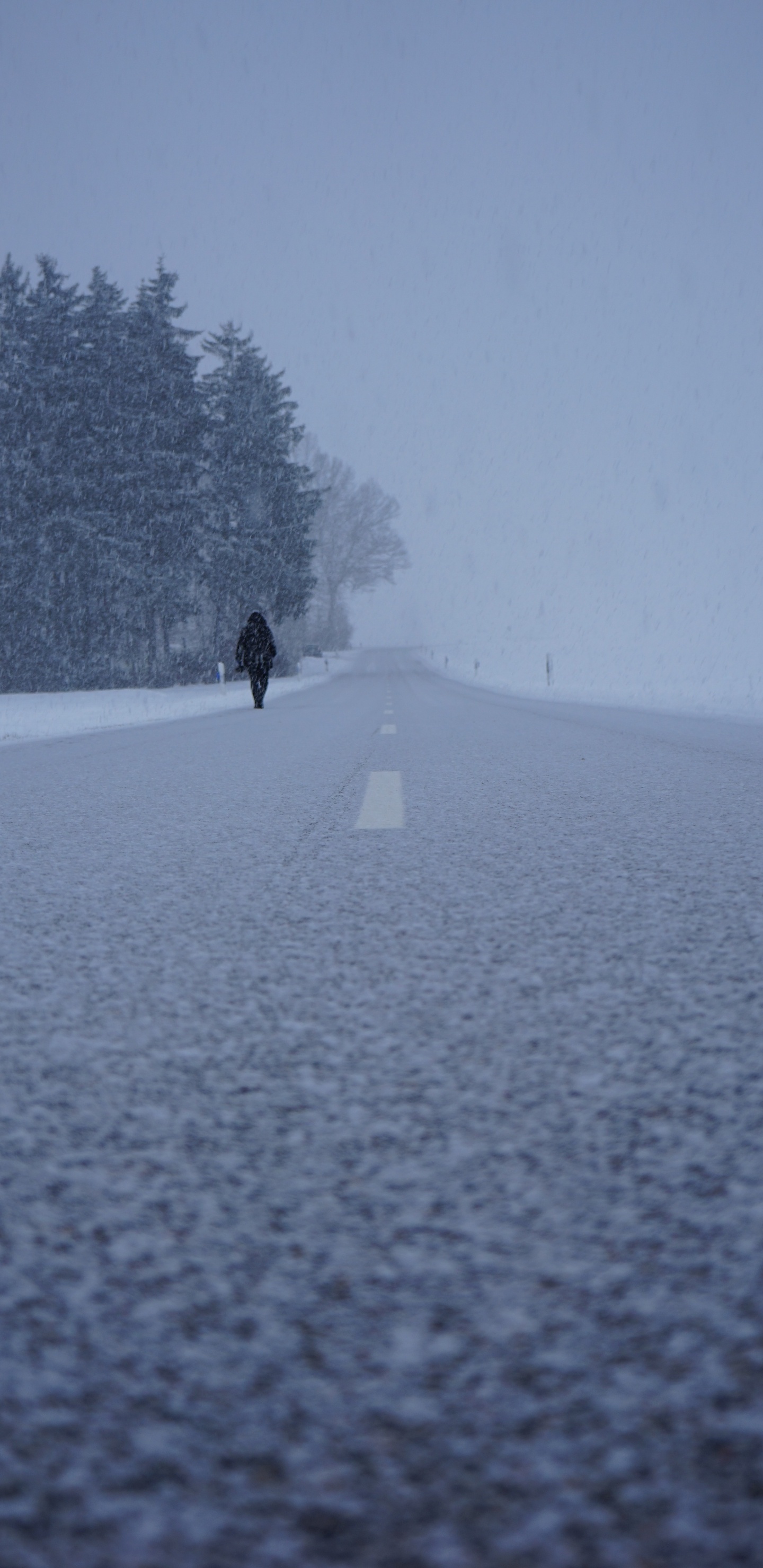 Nieve, Invierno, Congelación, Bruma, Niebla. Wallpaper in 1440x2960 Resolution