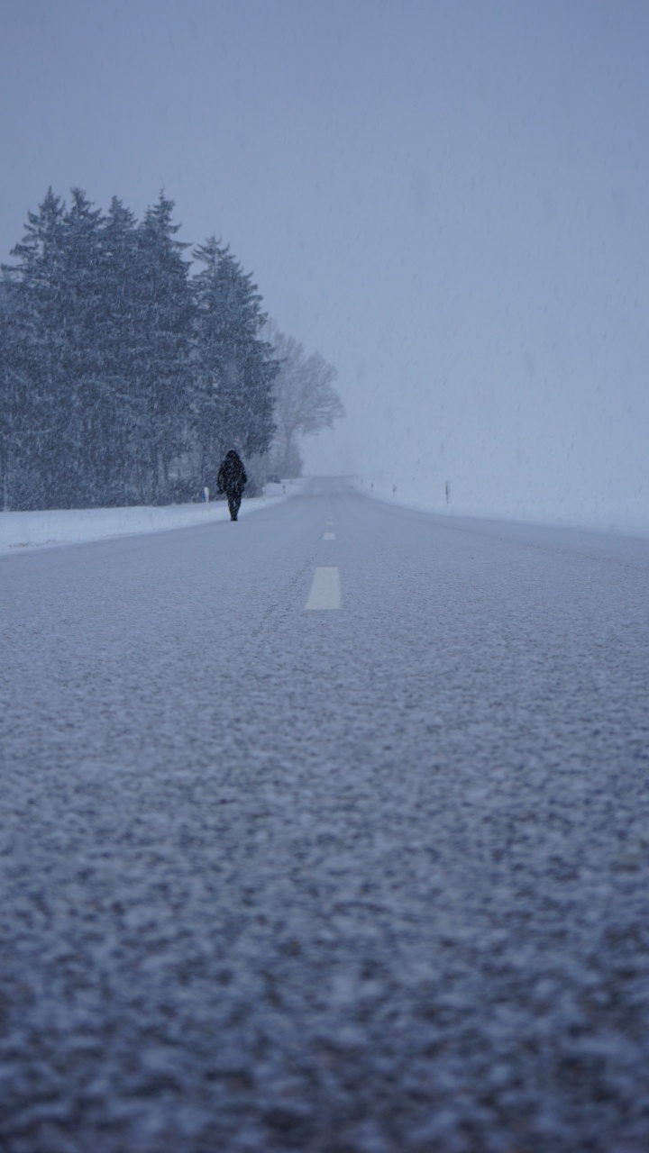 Neige, Hiver, Congélation, Brouillard, Blizzard. Wallpaper in 720x1280 Resolution