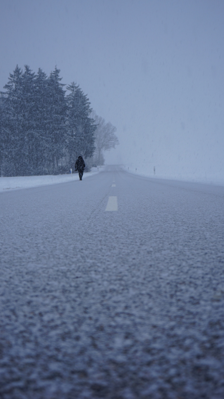 Neige, Hiver, Congélation, Brouillard, Blizzard. Wallpaper in 750x1334 Resolution