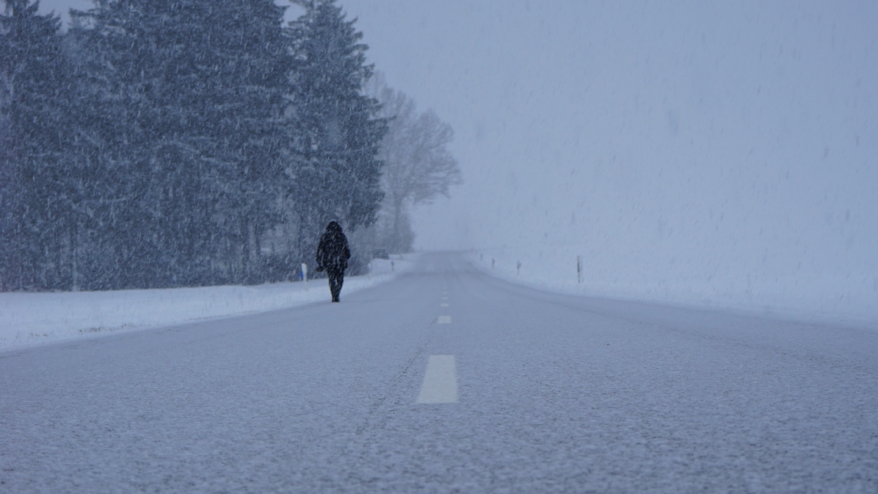 Schnee, Winter, Einfrieren, Baum, Nebel. Wallpaper in 1280x720 Resolution