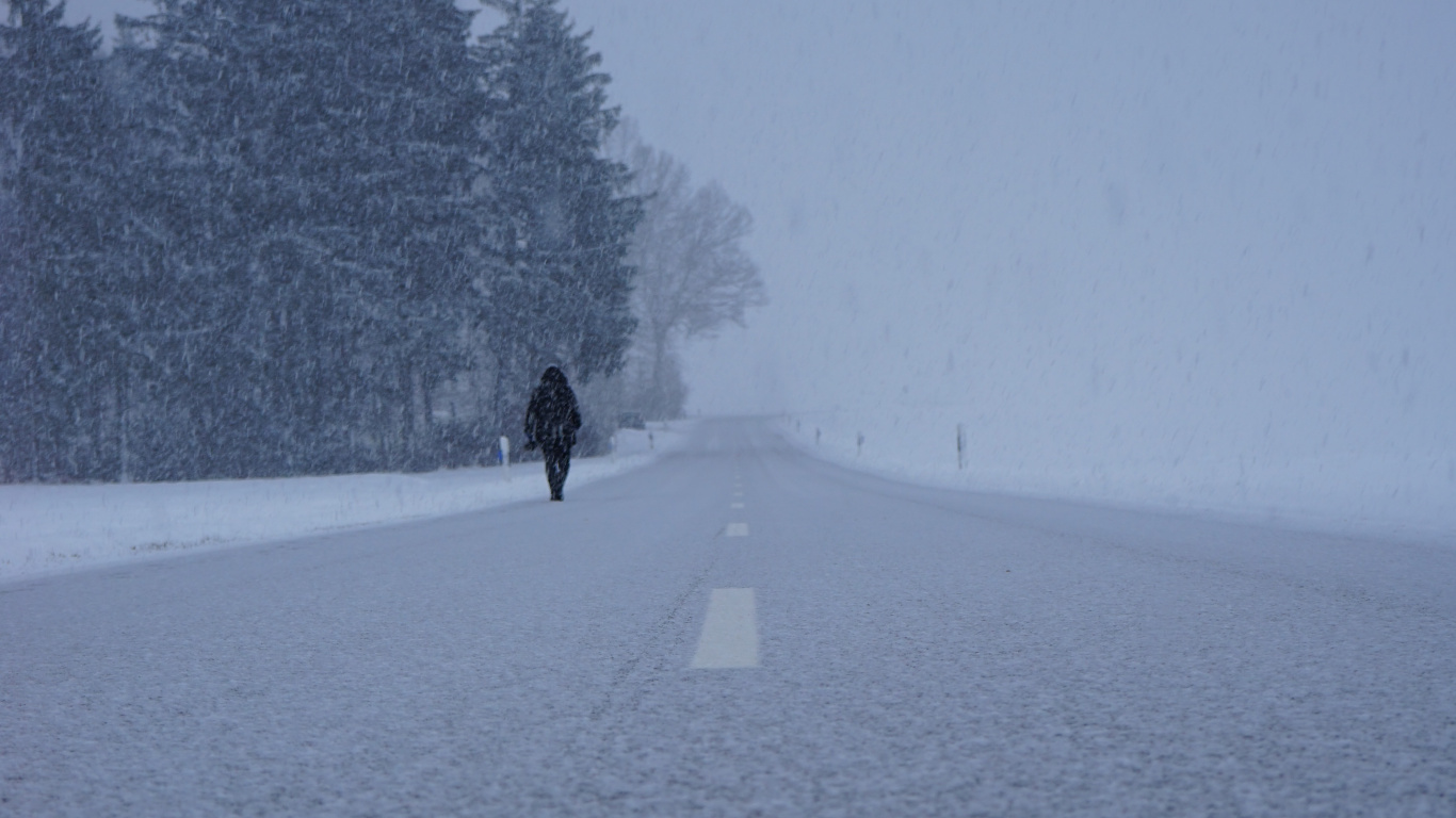 Schnee, Winter, Einfrieren, Baum, Nebel. Wallpaper in 1366x768 Resolution