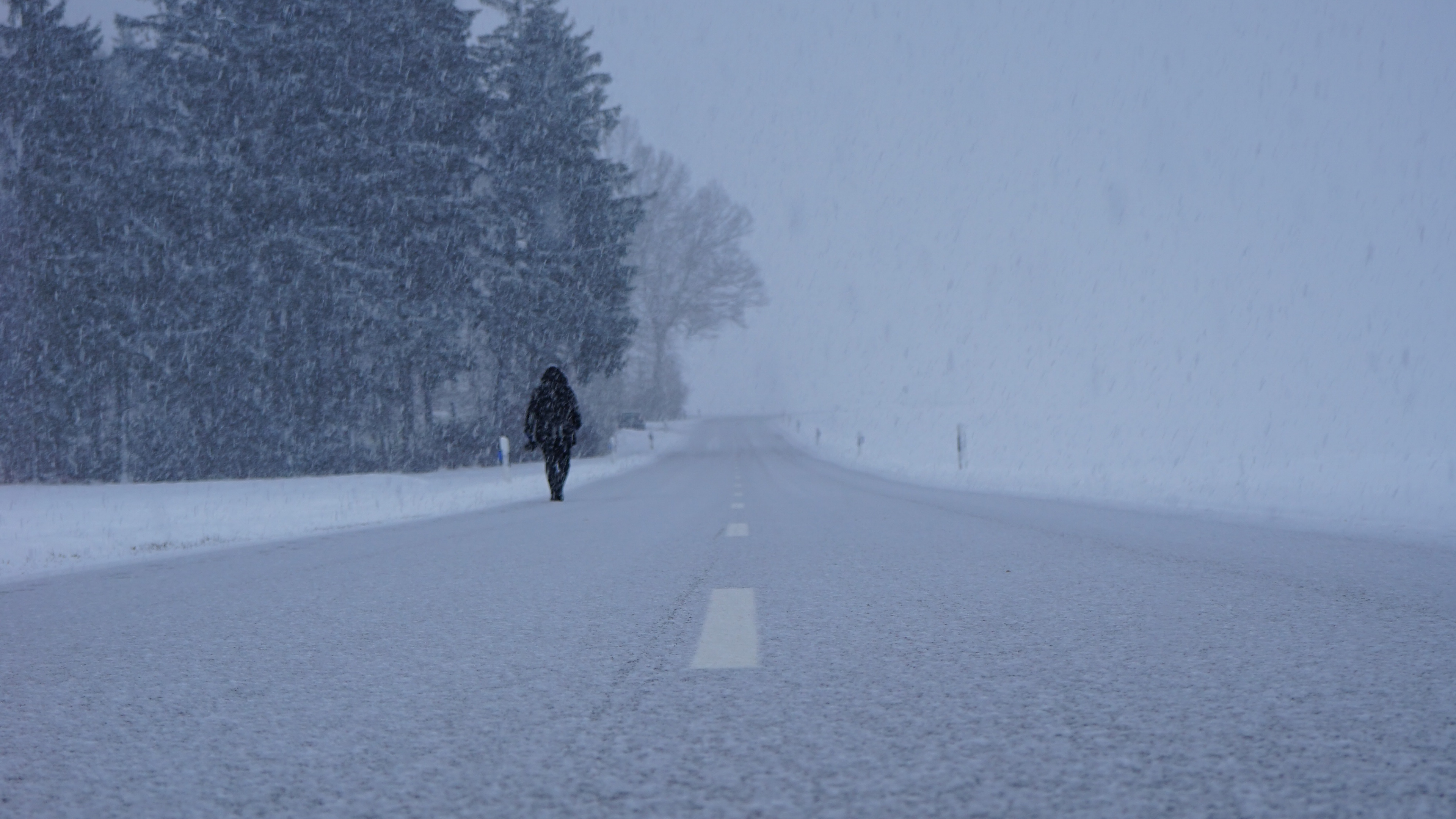 Schnee, Winter, Einfrieren, Baum, Nebel. Wallpaper in 3840x2160 Resolution