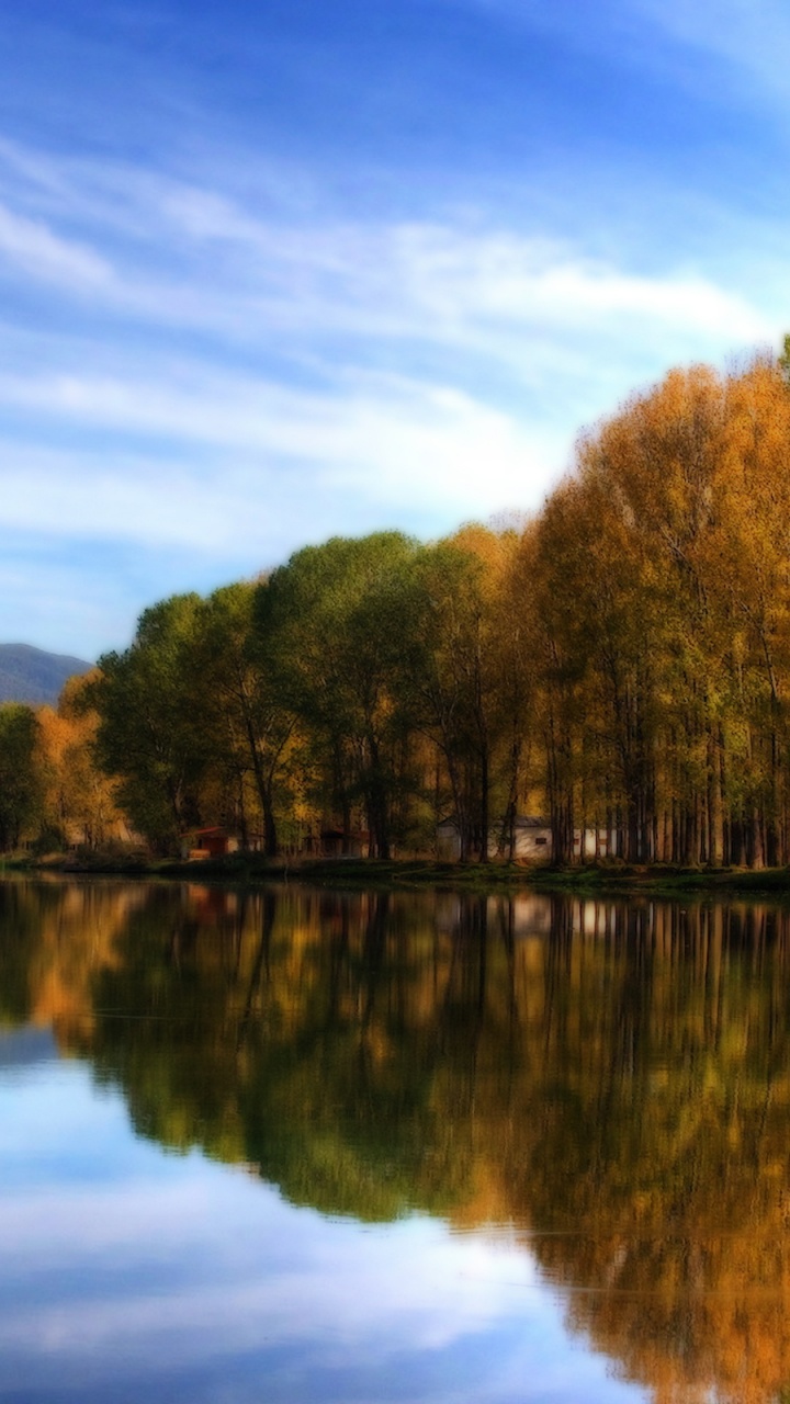 Green Trees Beside Lake Under Blue Sky During Daytime. Wallpaper in 720x1280 Resolution