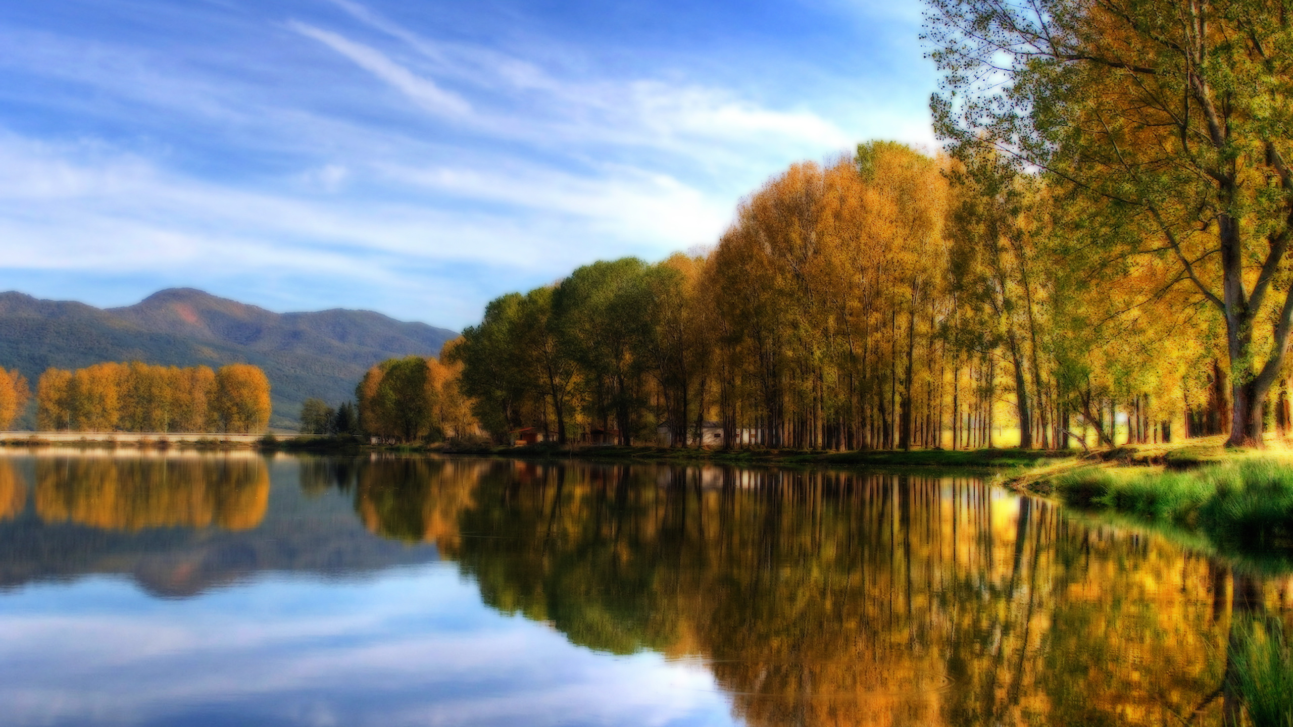 Grüne Bäume am See Unter Blauem Himmel Tagsüber. Wallpaper in 2560x1440 Resolution