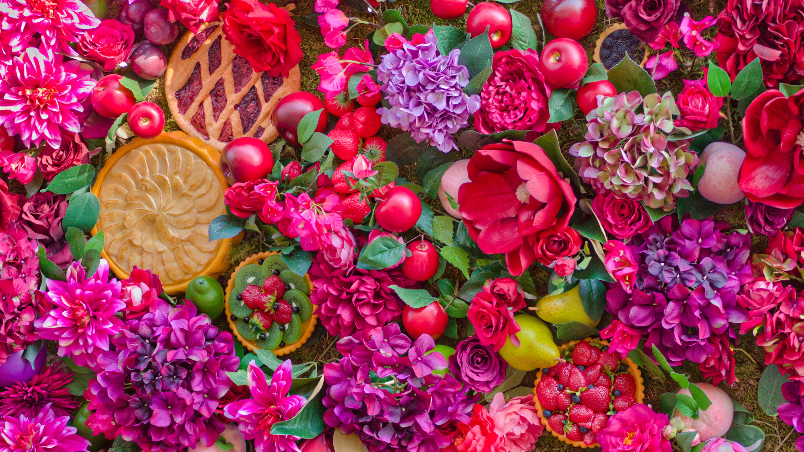 粉红色, 花卉设计, 品红色, 花安排, 切花 壁纸 2560x1440 允许