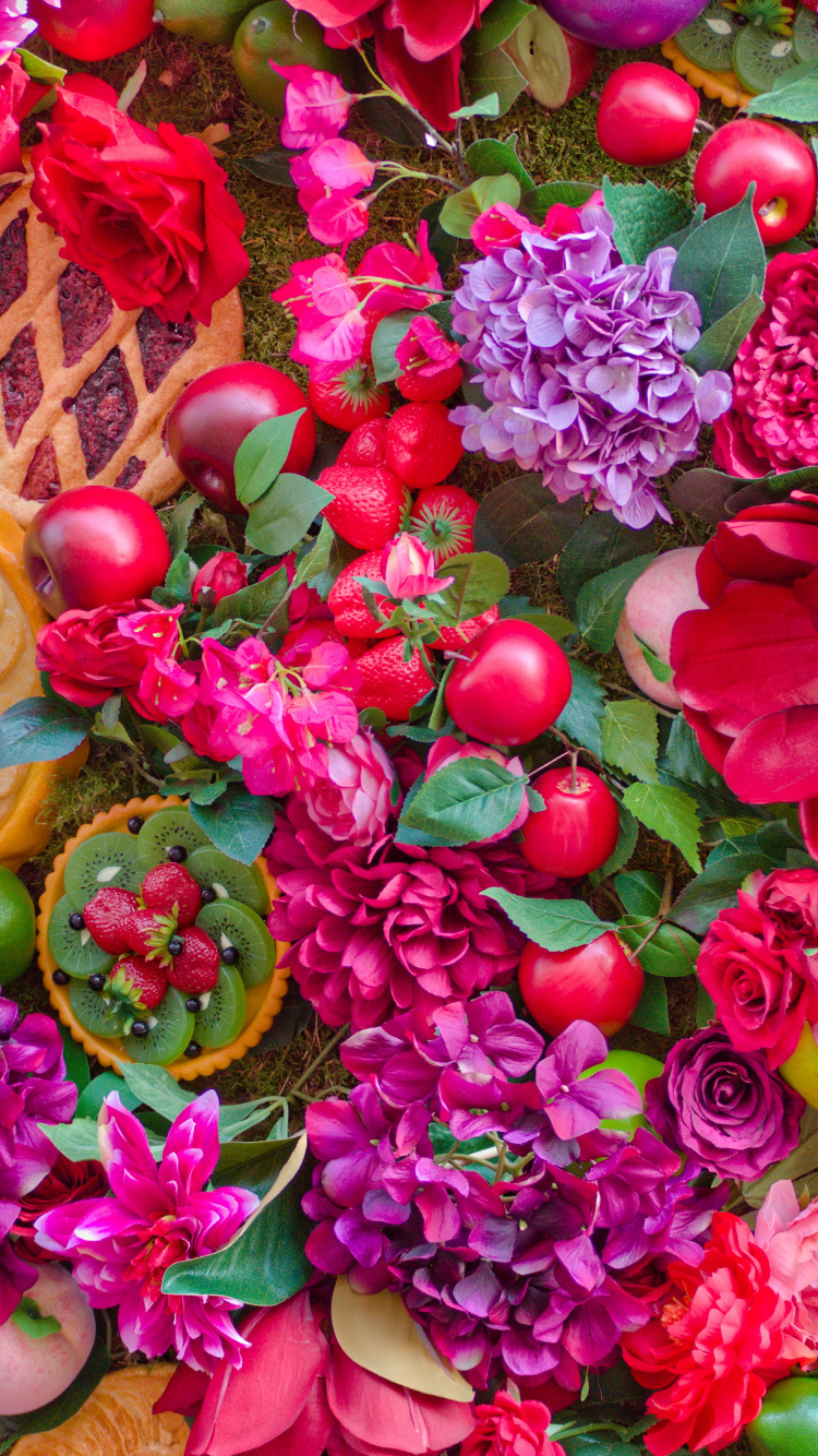 粉红色, 花卉设计, 品红色, 花安排, 切花 壁纸 750x1334 允许