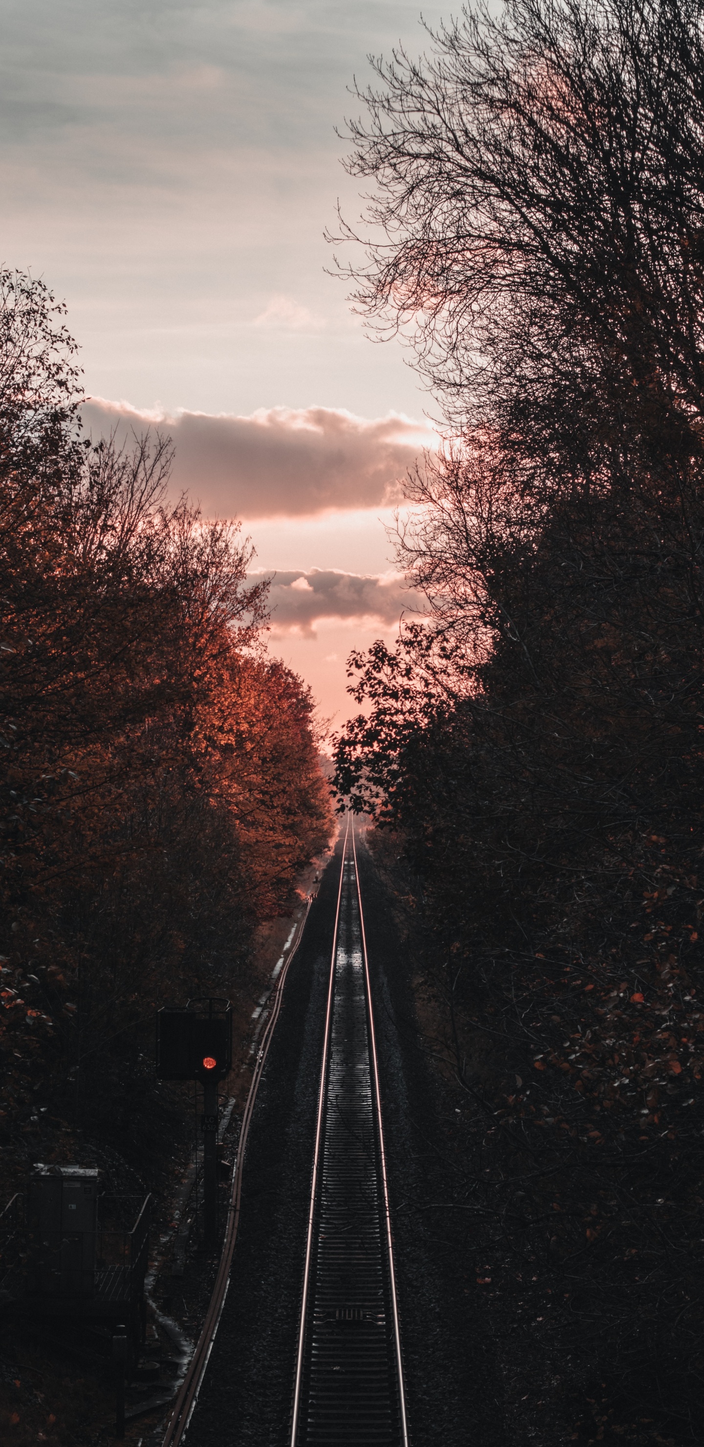 Sucursal, Transporte, Pista, Mañana, Noche. Wallpaper in 1440x2960 Resolution