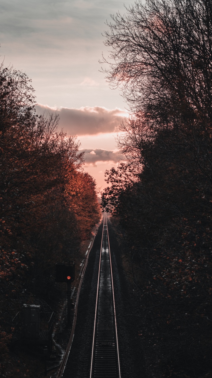 Transport, Piste, Matin, Soir, Plantes Ligneuses. Wallpaper in 720x1280 Resolution