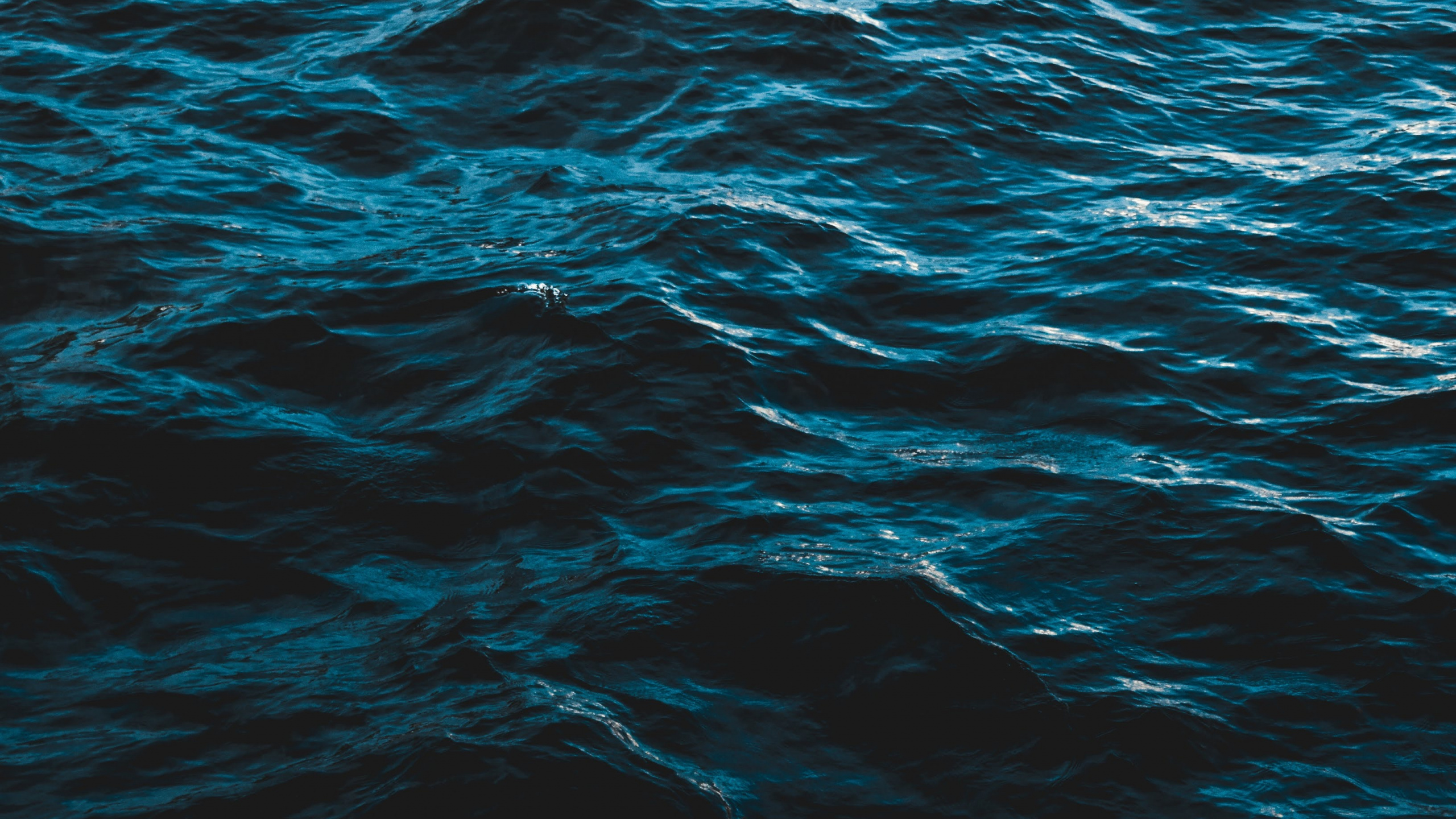 Blue, Water, Aqua, Ocean, Sea. Wallpaper in 2560x1440 Resolution