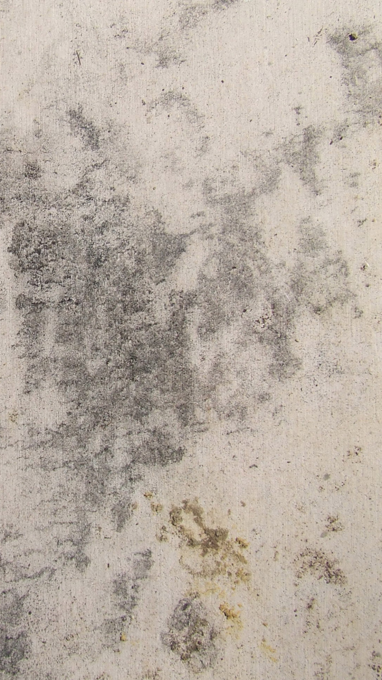 Abstrakte Schwarz-Weiß-Malerei. Wallpaper in 750x1334 Resolution