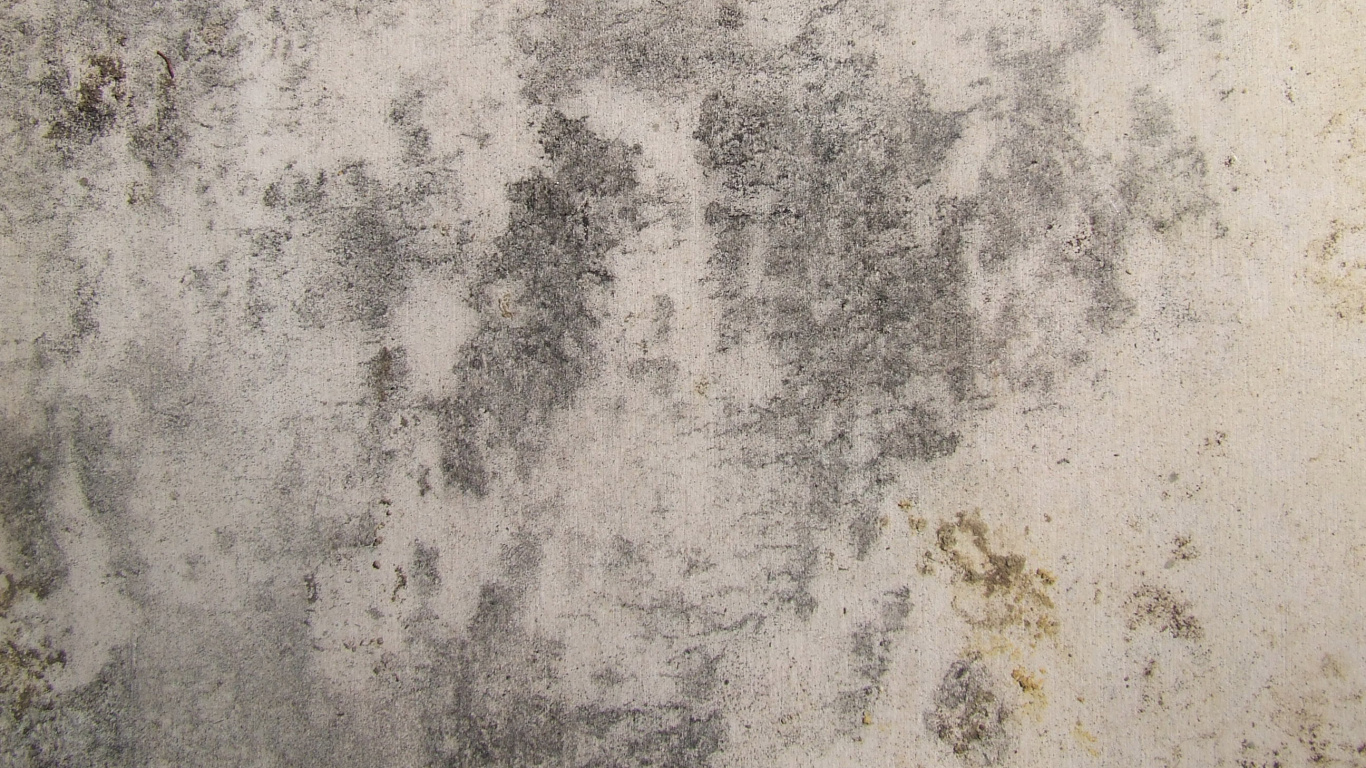 Peinture Abstraite en Noir et Blanc. Wallpaper in 1366x768 Resolution