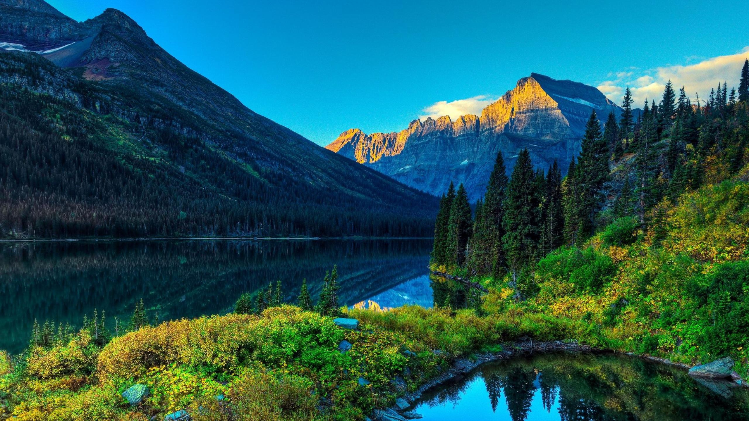 Green Trees Near Lake and Mountain Under Blue Sky During Daytime. Wallpaper in 2560x1440 Resolution