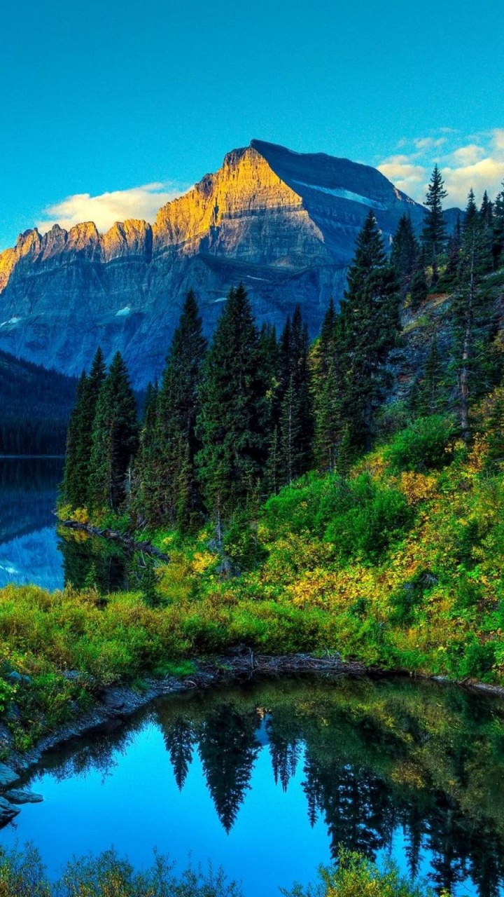 Green Trees Near Lake and Mountain Under Blue Sky During Daytime. Wallpaper in 720x1280 Resolution