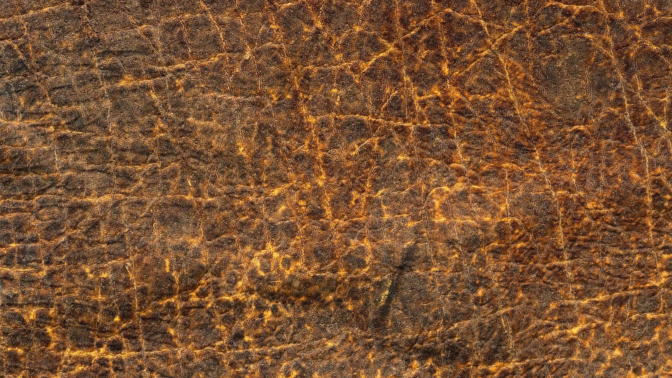 纹理, 棕色, 木, 生锈, 草 壁纸 2560x1440 允许