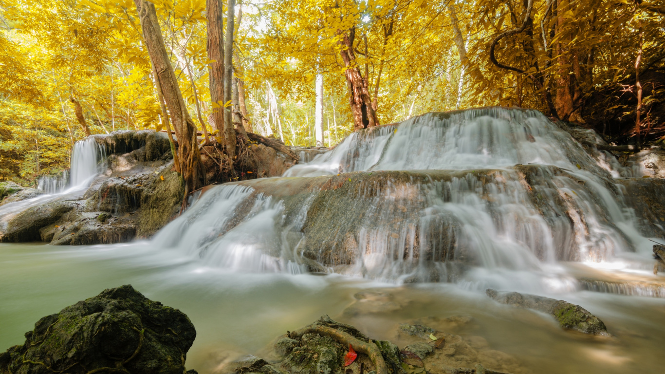 el Agua Cae en Medio Del Bosque. Wallpaper in 1366x768 Resolution