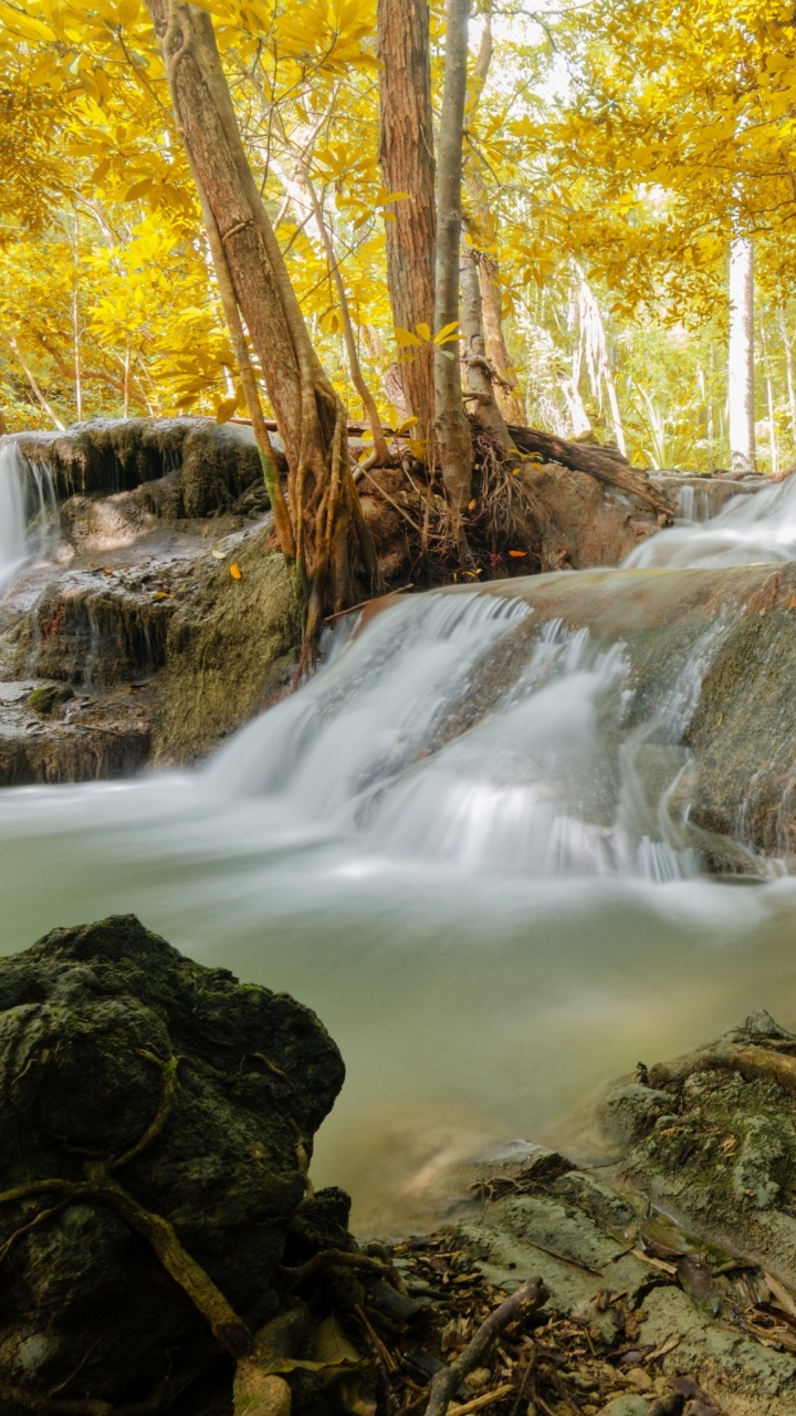 Water Falls in The Middle of The Woods. Wallpaper in 720x1280 Resolution