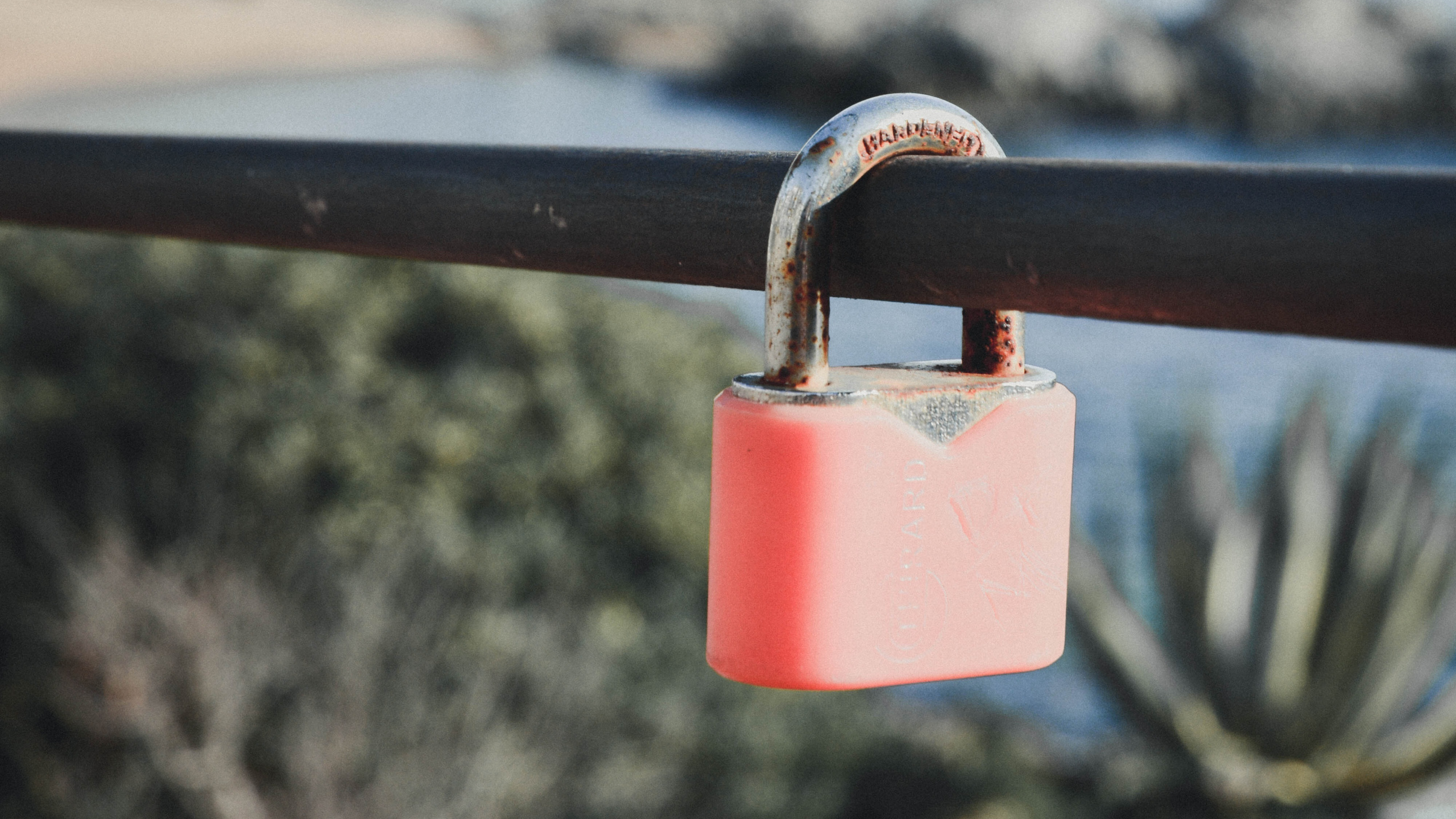 Pink Padlock on Brown Metal Fence During Daytime. Wallpaper in 2560x1440 Resolution