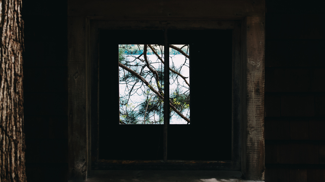 Brown Wooden Window Frame With Green Trees. Wallpaper in 1366x768 Resolution
