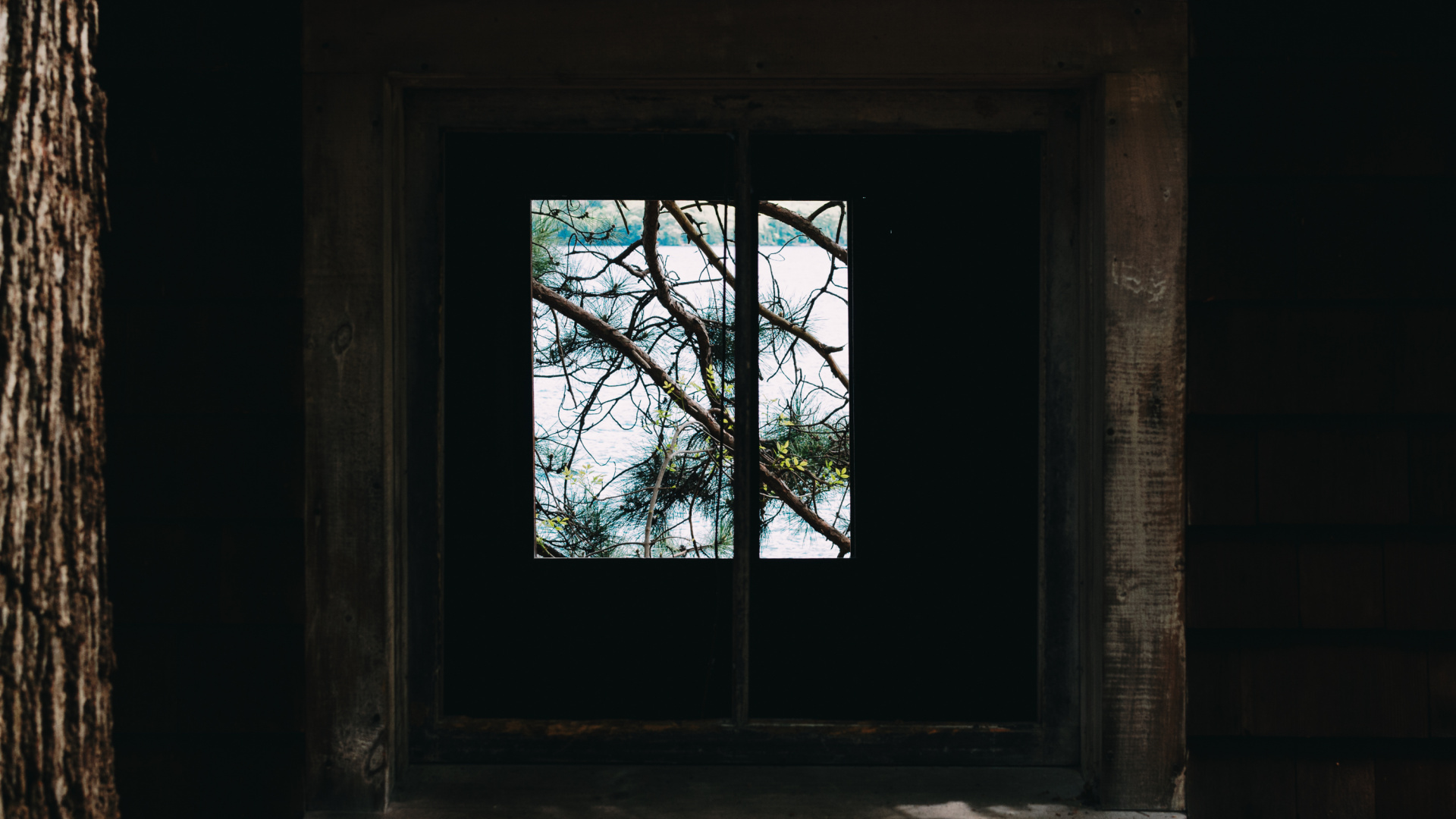 Brown Wooden Window Frame With Green Trees. Wallpaper in 1920x1080 Resolution