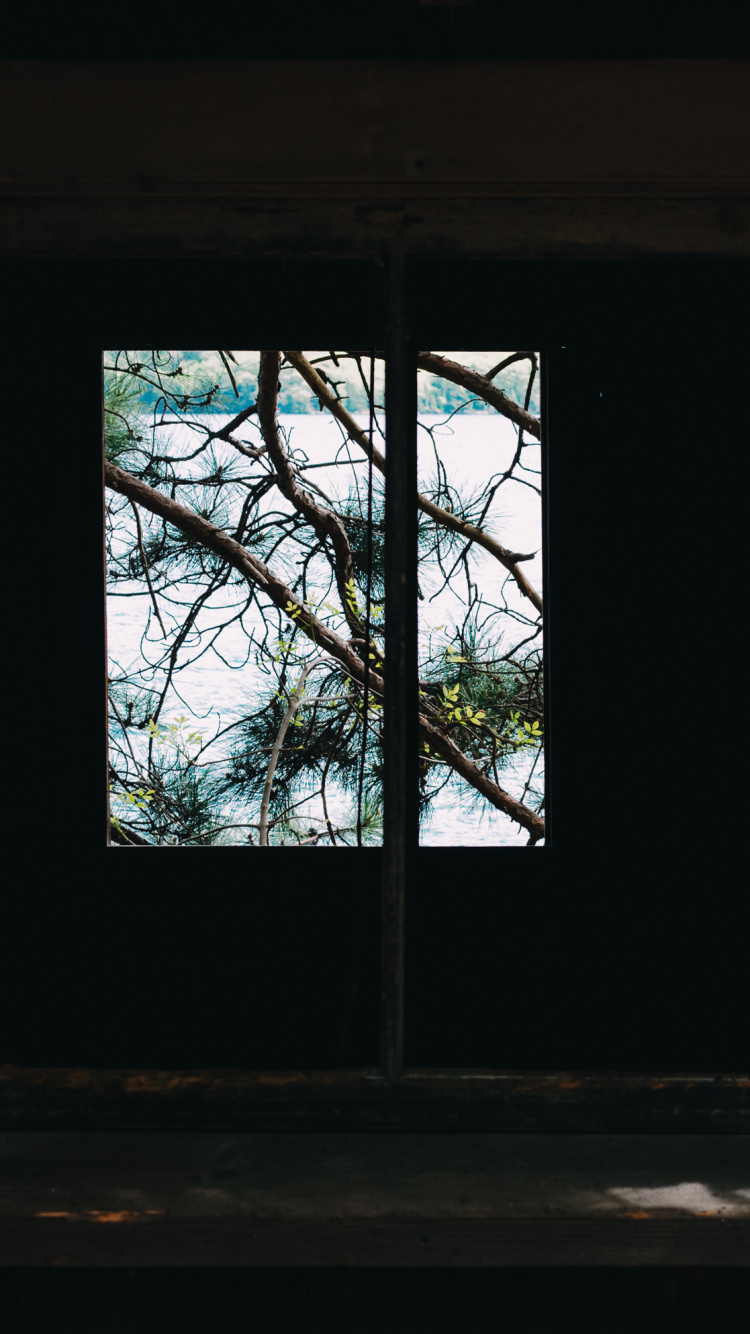 Brown Wooden Window Frame With Green Trees. Wallpaper in 750x1334 Resolution