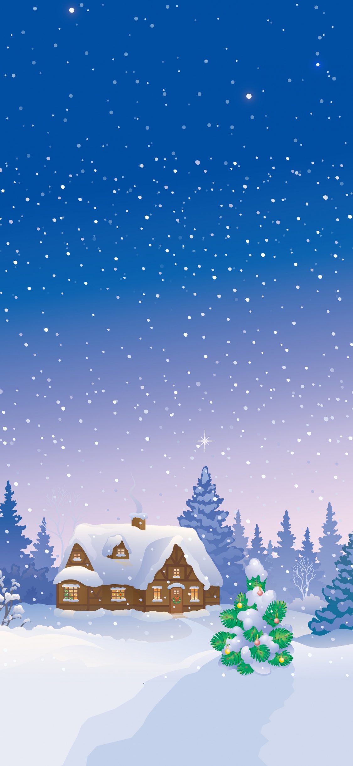 Schnee, Winter, Woody Pflanze, Weihnachtsdekoration, Haus. Wallpaper in 1125x2436 Resolution
