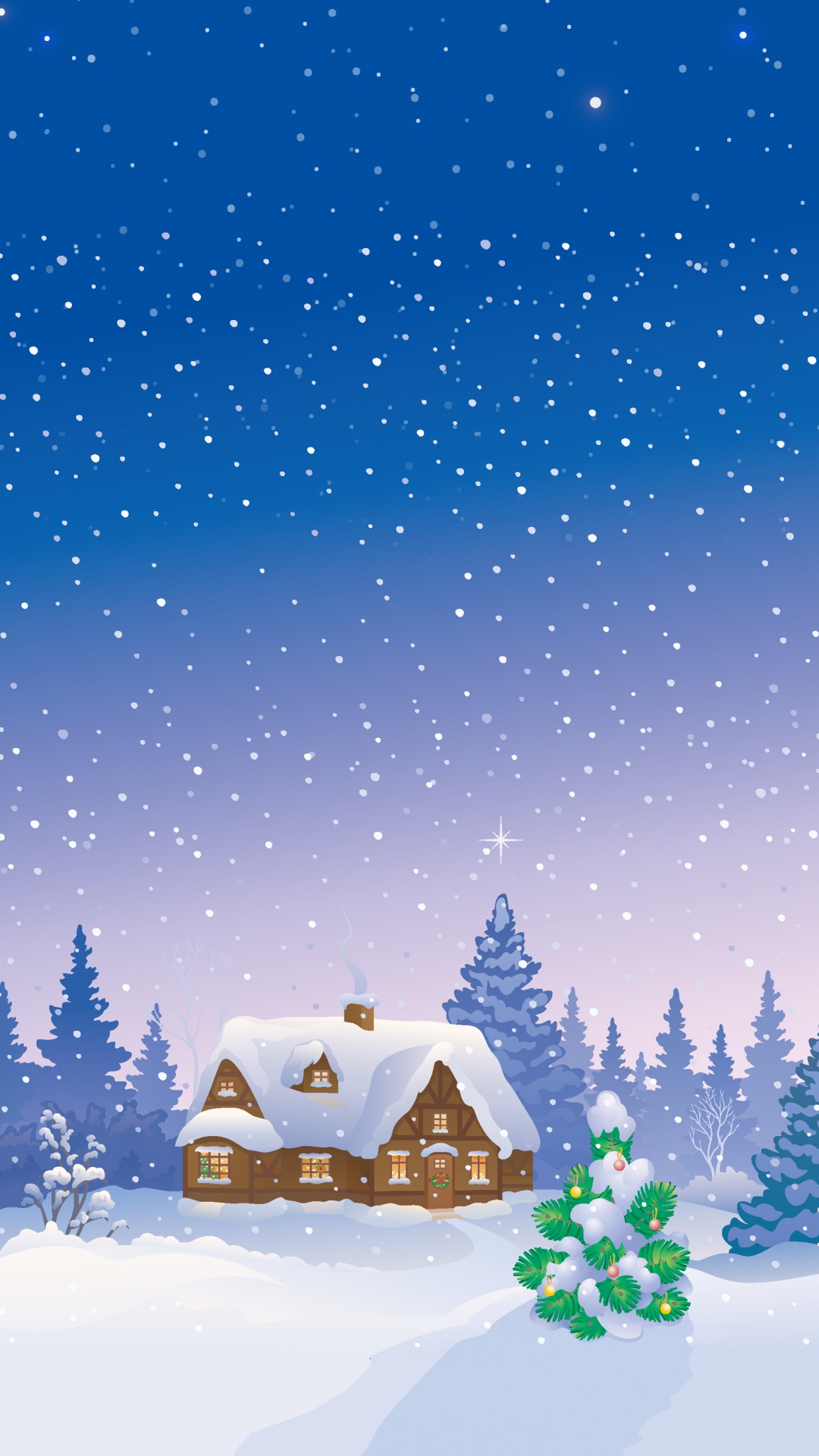 Snow, Winter, Woody Plant, Christmas Decoration, Holiday. Wallpaper in 1080x1920 Resolution