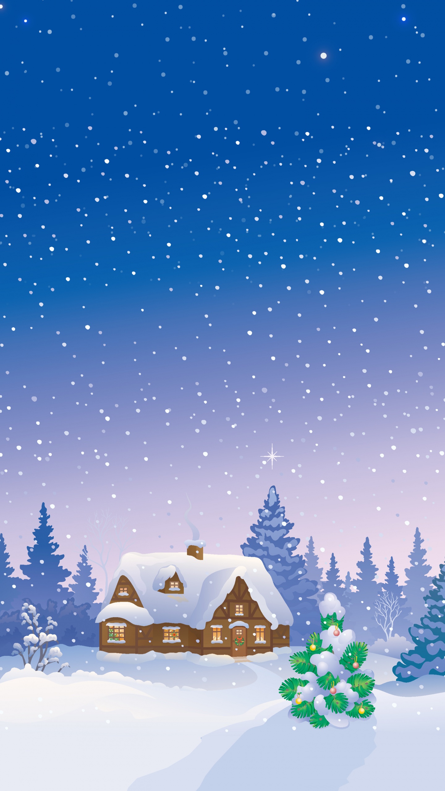Snow, Winter, Woody Plant, Christmas Decoration, Holiday. Wallpaper in 1440x2560 Resolution