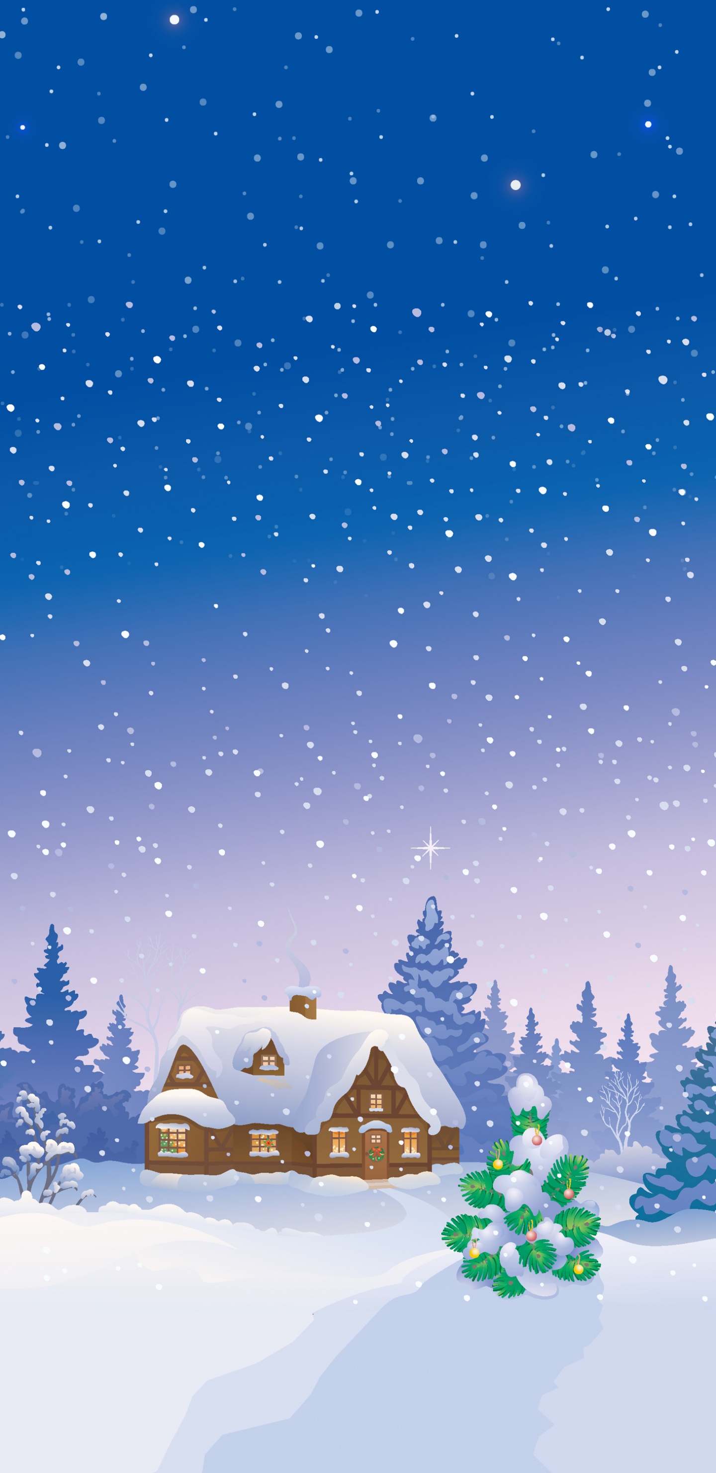 Snow, Winter, Woody Plant, Christmas Decoration, Holiday. Wallpaper in 1440x2960 Resolution