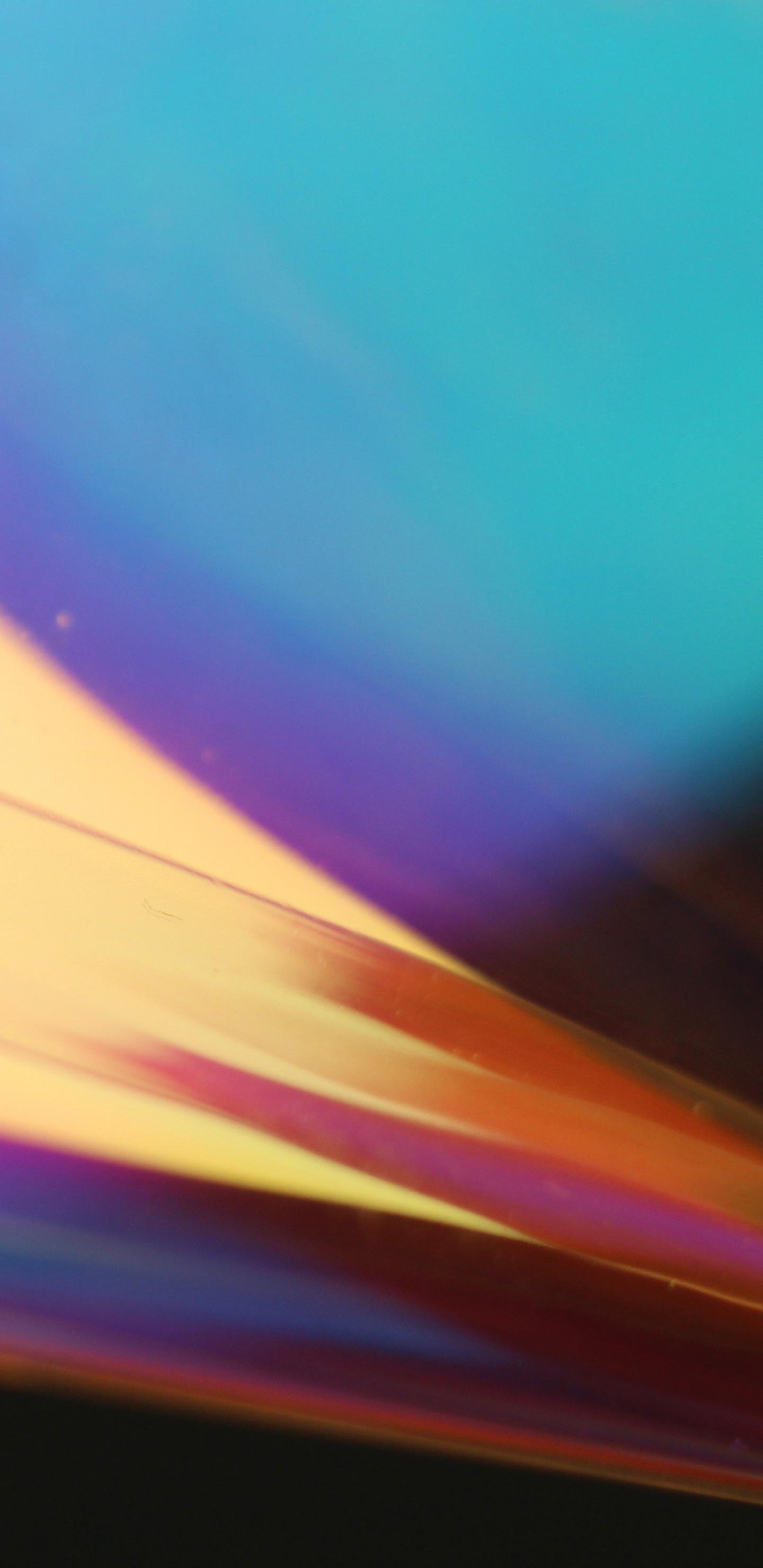 光, 黄色的, 橙色, 紫色的, 紫罗兰色 壁纸 1440x2960 允许