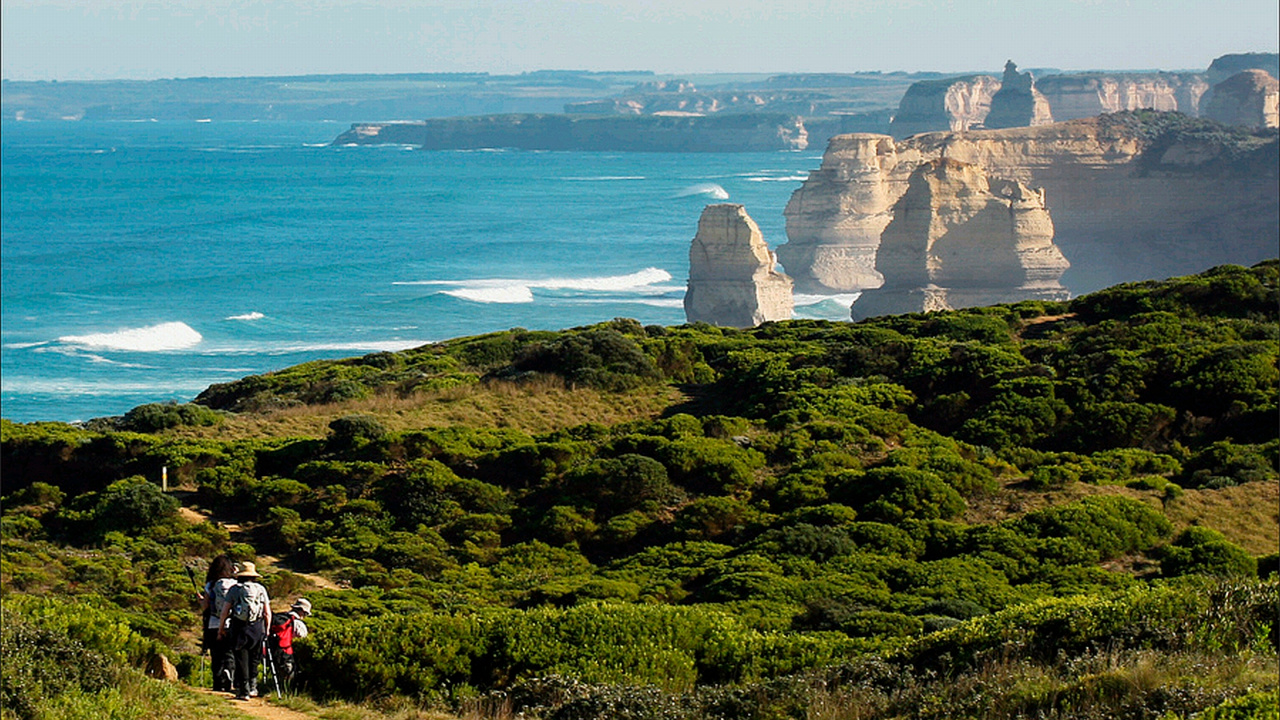 Personne en Chemise Rouge Debout Sur un Terrain D'herbe Verte Près D'un Plan D'eau Pendant la Journée. Wallpaper in 1280x720 Resolution