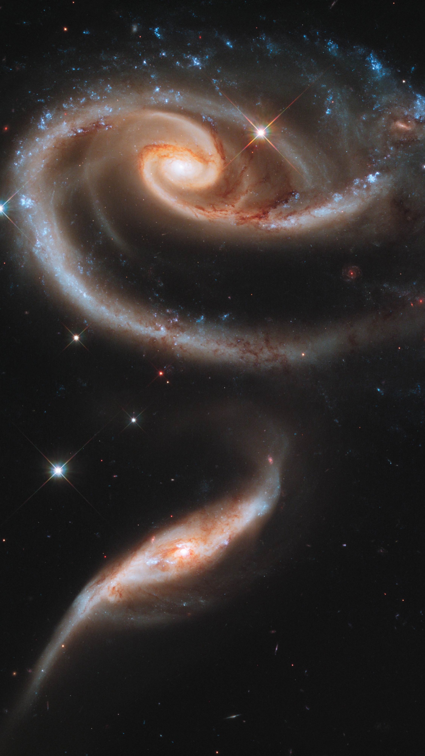 Ilustración de Luz Blanca y Azul. Wallpaper in 1440x2560 Resolution