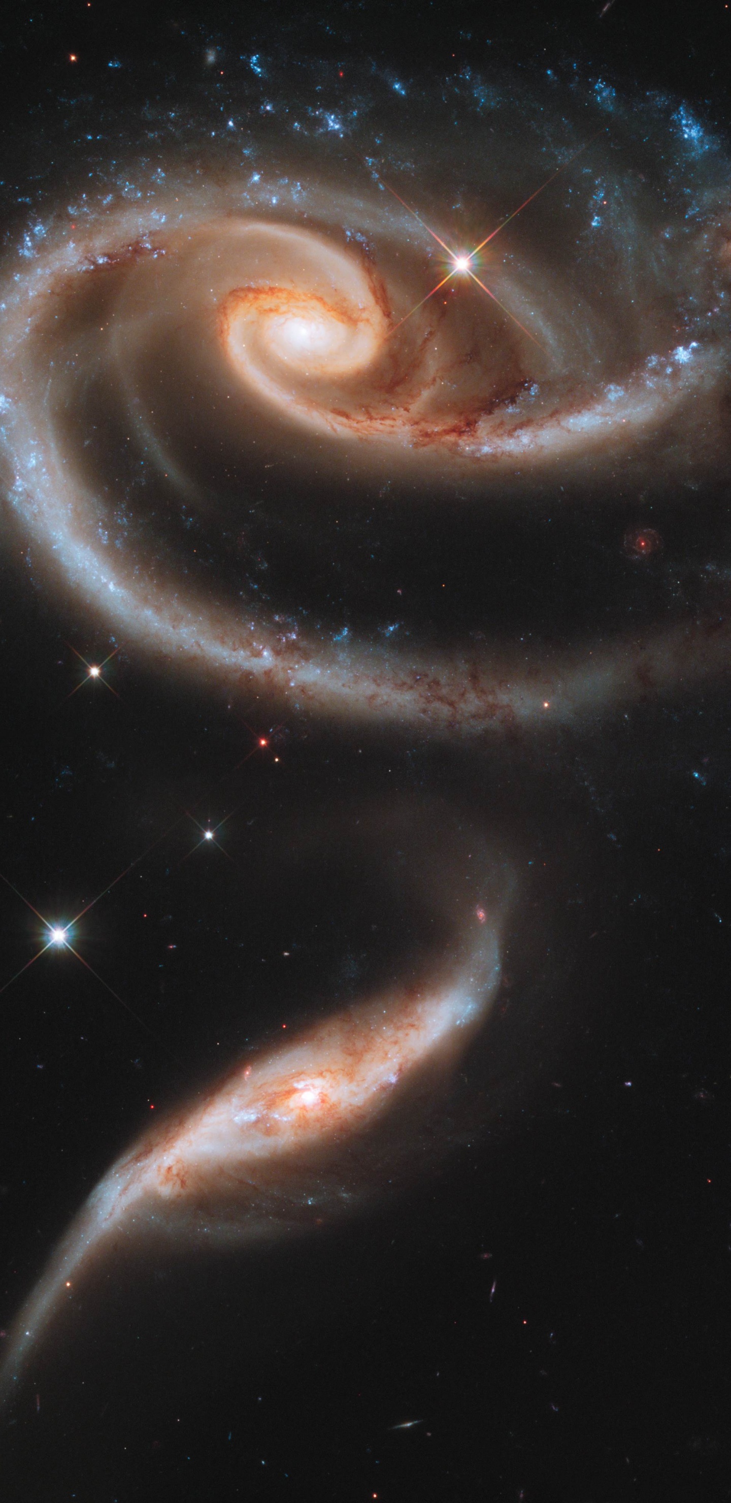 Illustration de la Lumière Blanche et Bleue. Wallpaper in 1440x2960 Resolution