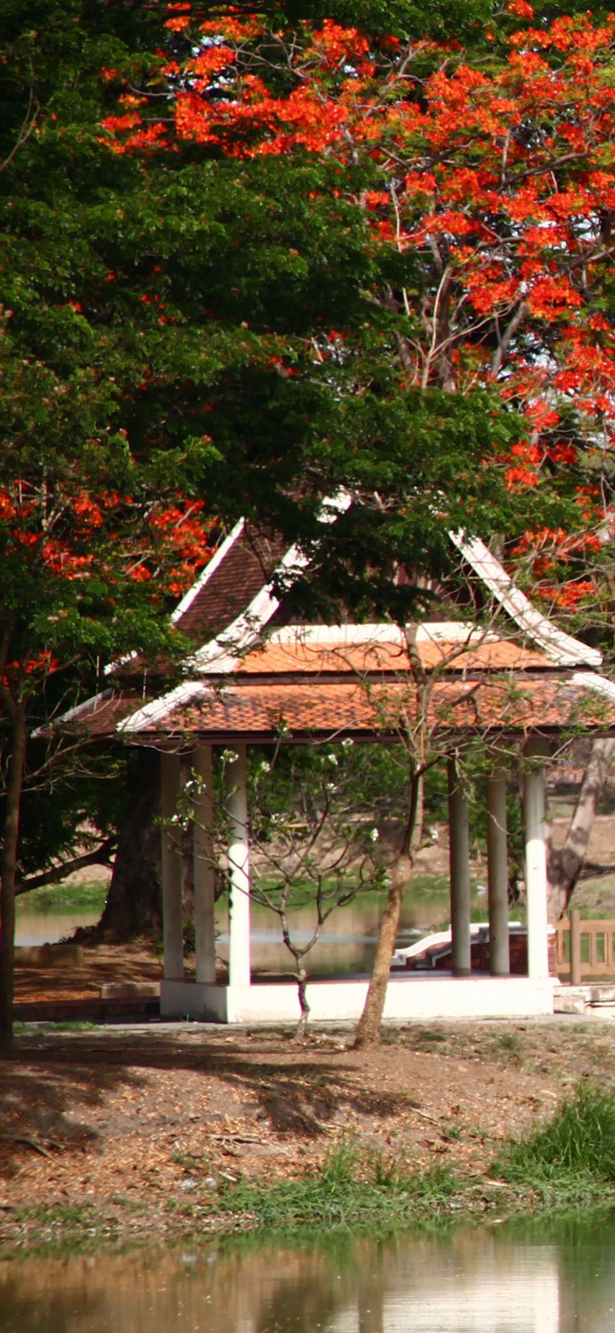 White Wooden Bridge Over River. Wallpaper in 1242x2688 Resolution