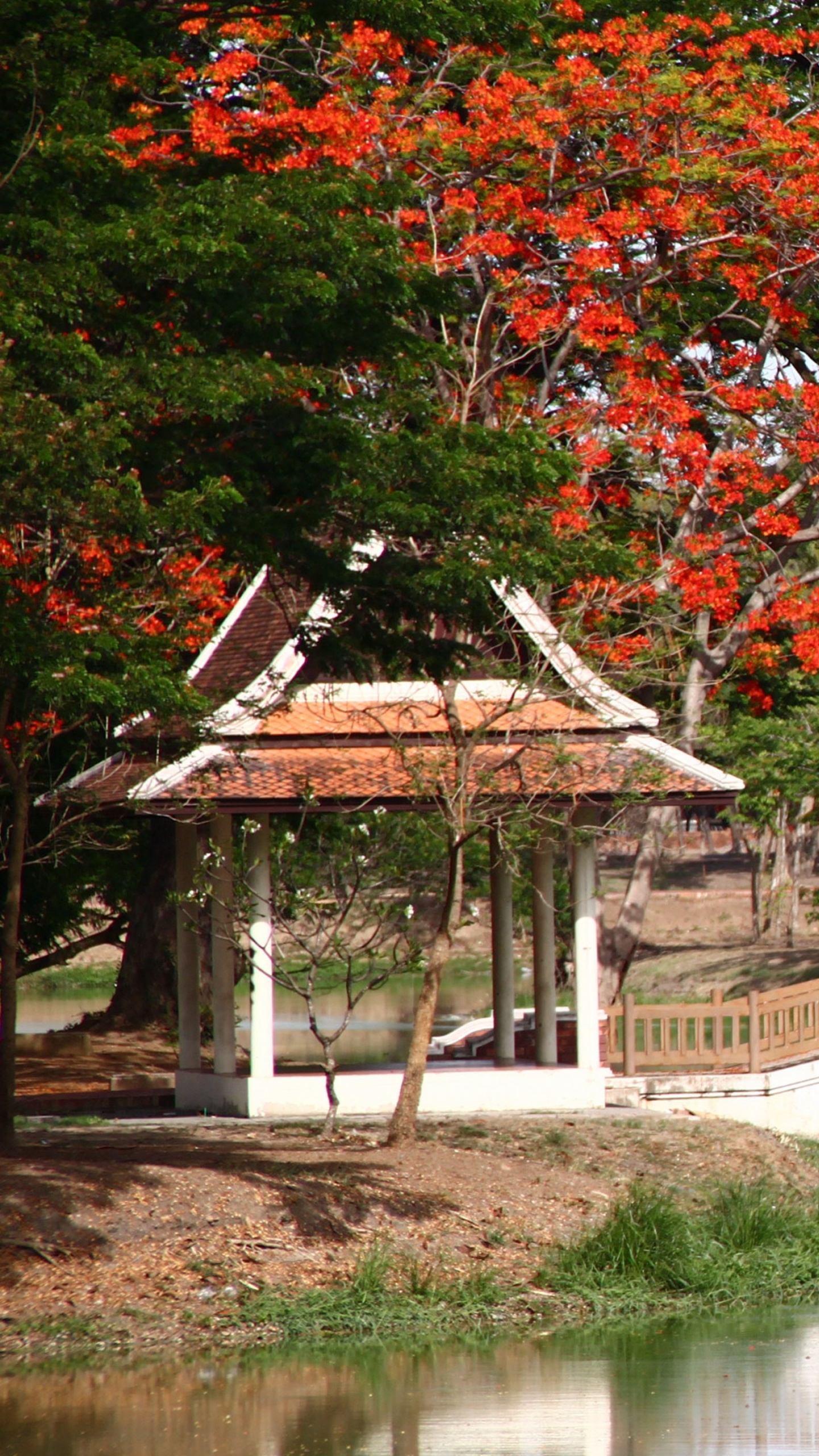 White Wooden Bridge Over River. Wallpaper in 1440x2560 Resolution