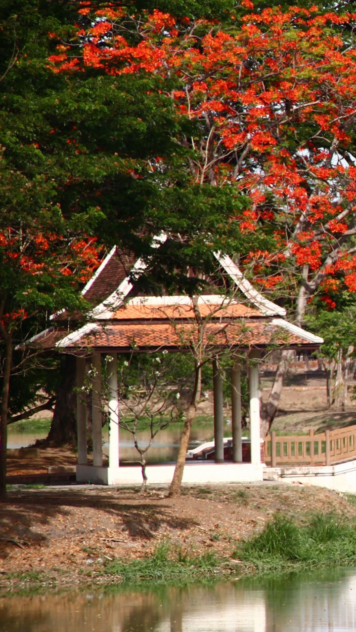 White Wooden Bridge Over River. Wallpaper in 720x1280 Resolution