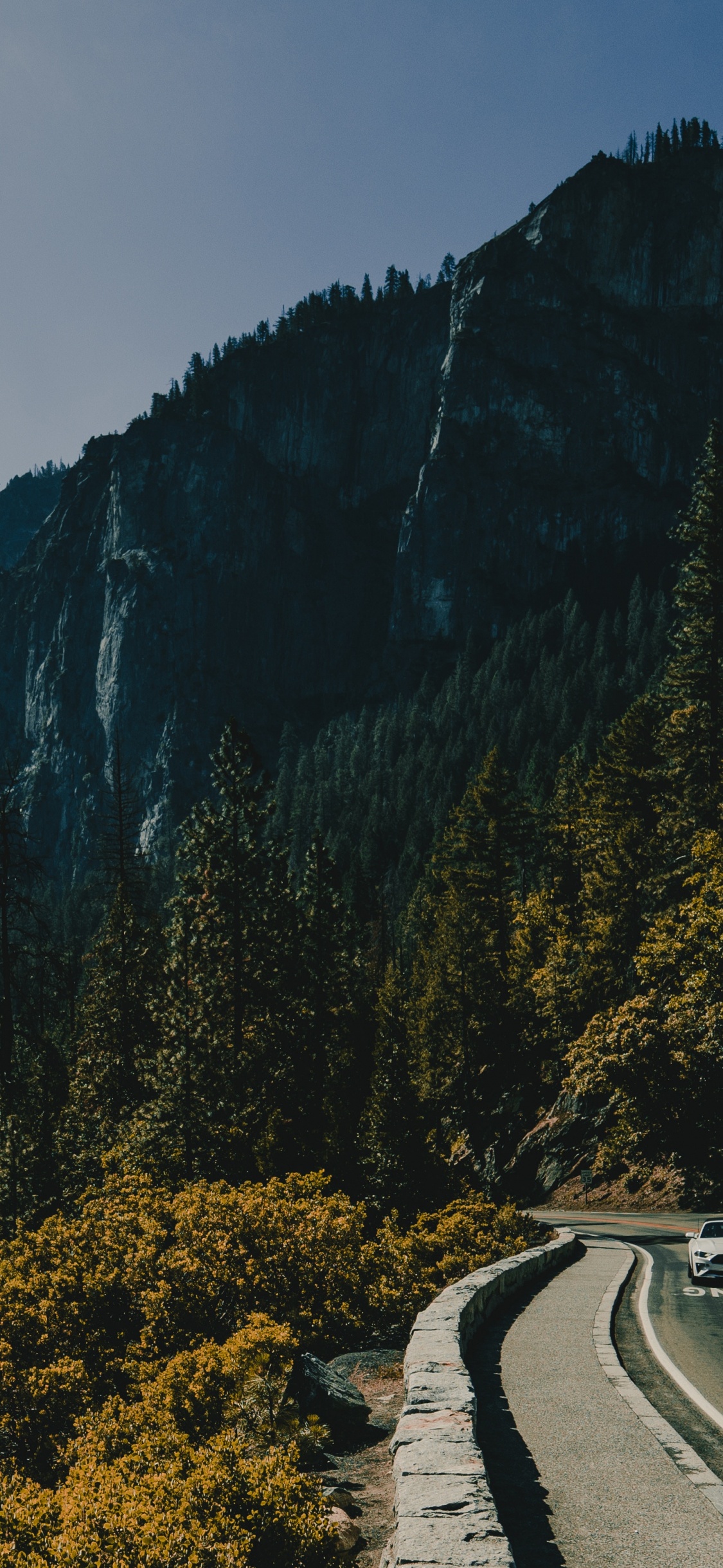Green Trees on Mountain Under Cloudy Sky During Daytime. Wallpaper in 1125x2436 Resolution