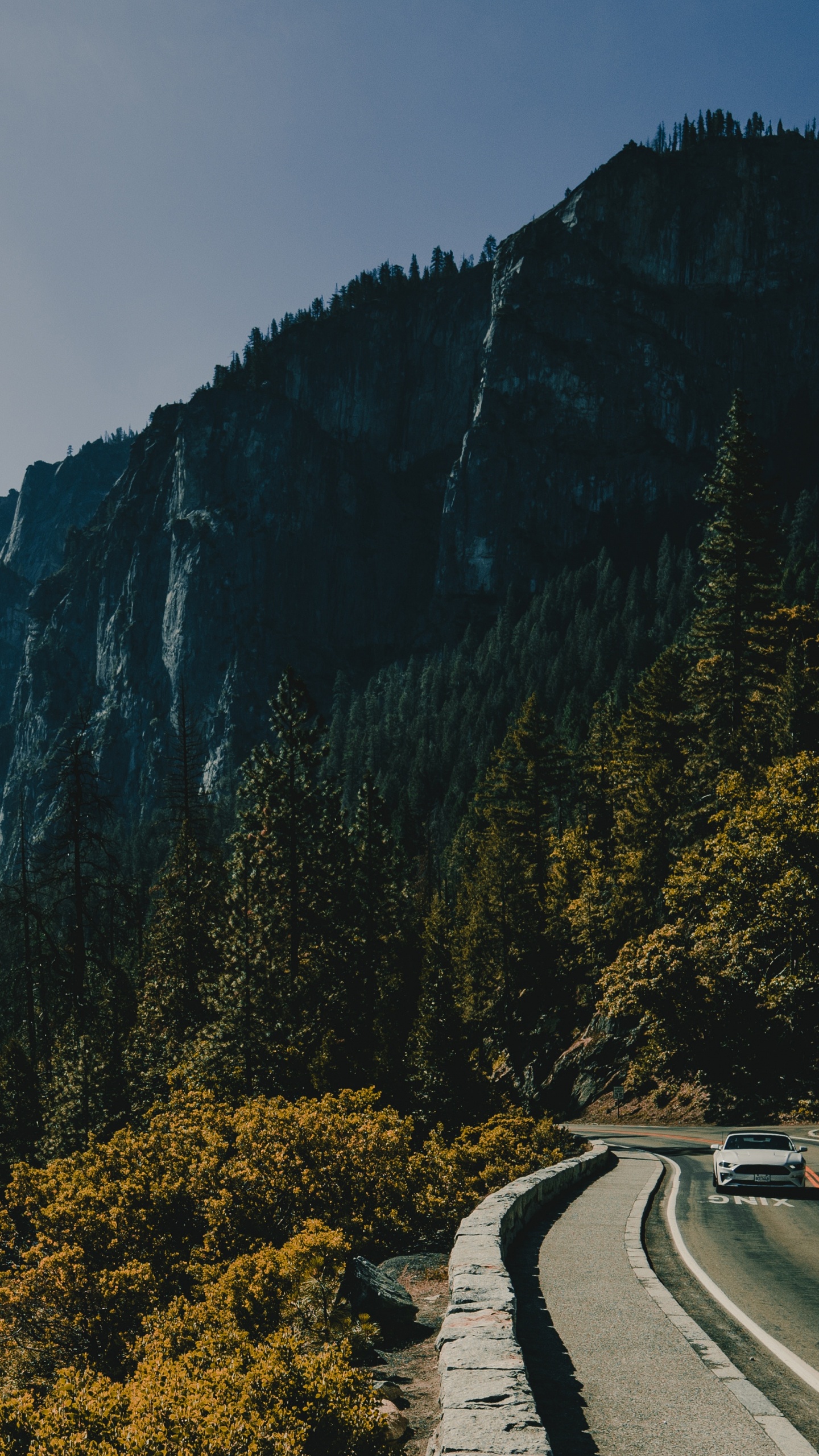 Green Trees on Mountain Under Cloudy Sky During Daytime. Wallpaper in 1440x2560 Resolution