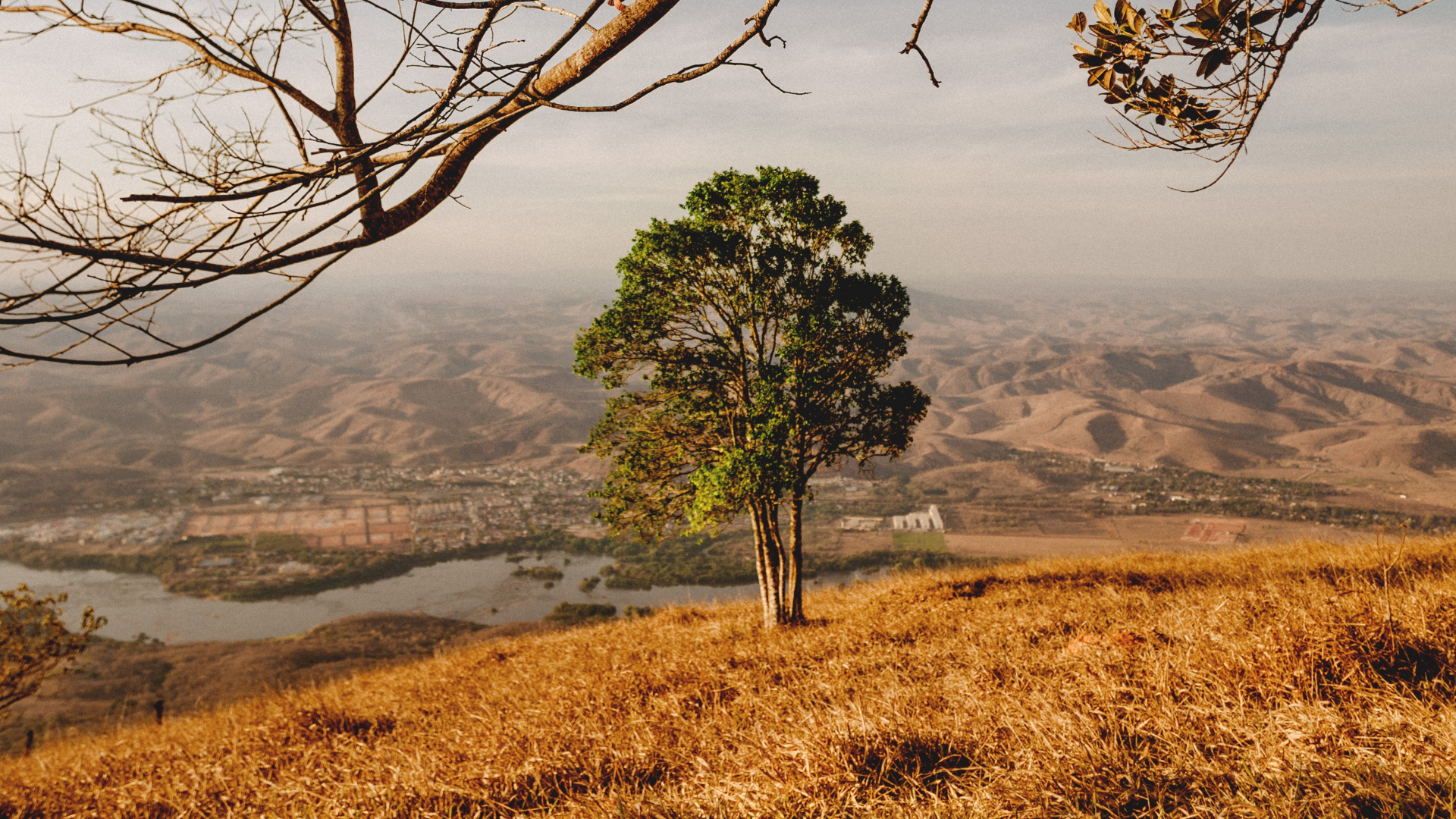 Woody Plant, Tree, Natural Landscape, Nature, Branch. Wallpaper in 1920x1080 Resolution