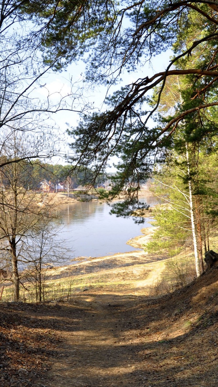 Braune Bäume in Der Nähe Des Flusses Tagsüber. Wallpaper in 720x1280 Resolution