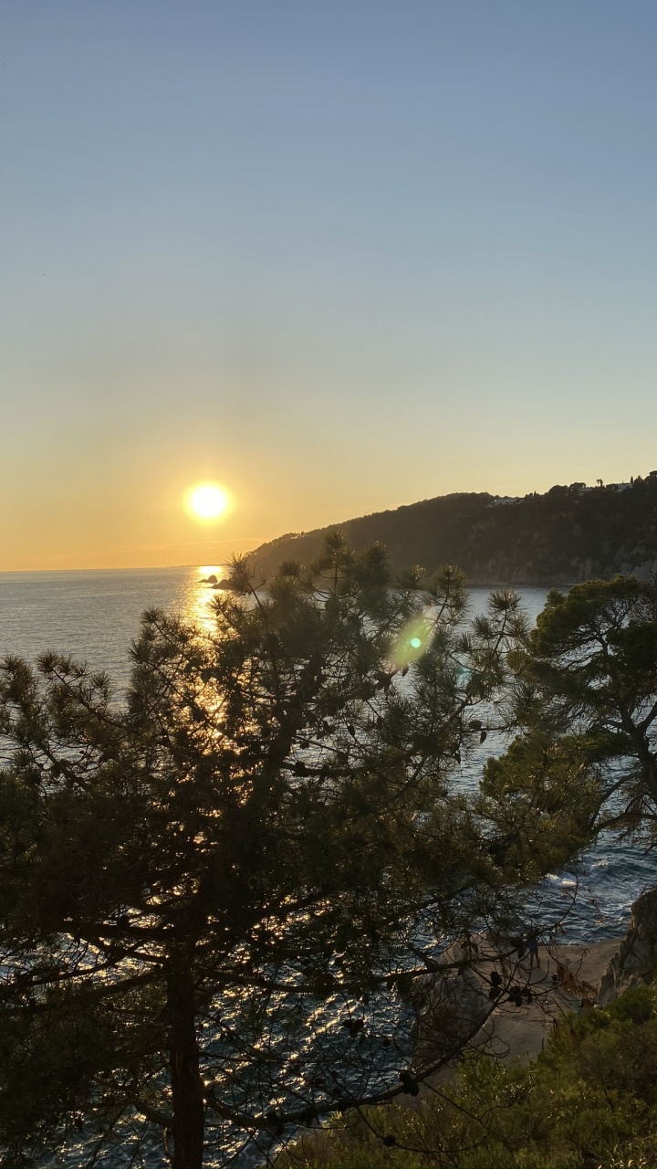 Water, Sunrise, Vegetation, Sun, Sunset. Wallpaper in 720x1280 Resolution