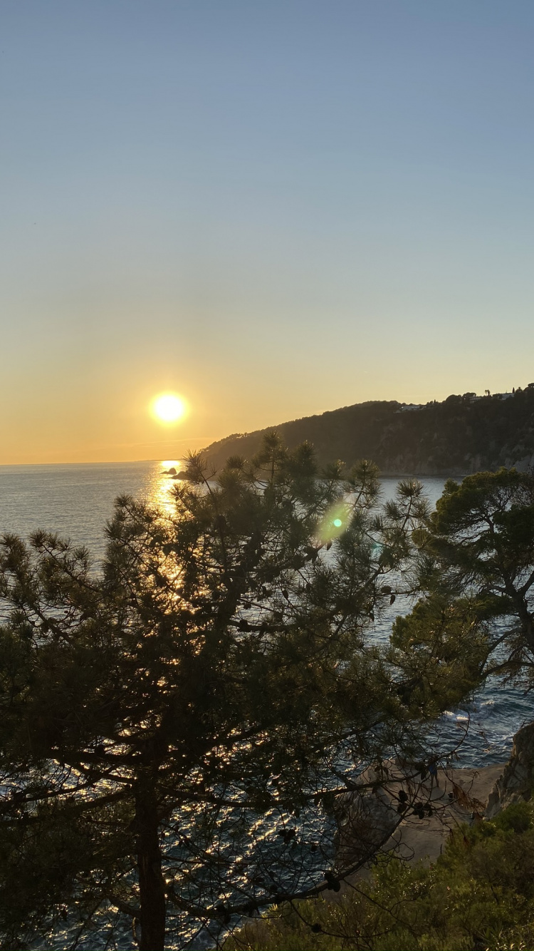 Water, Sunrise, Vegetation, Sun, Sunset. Wallpaper in 750x1334 Resolution