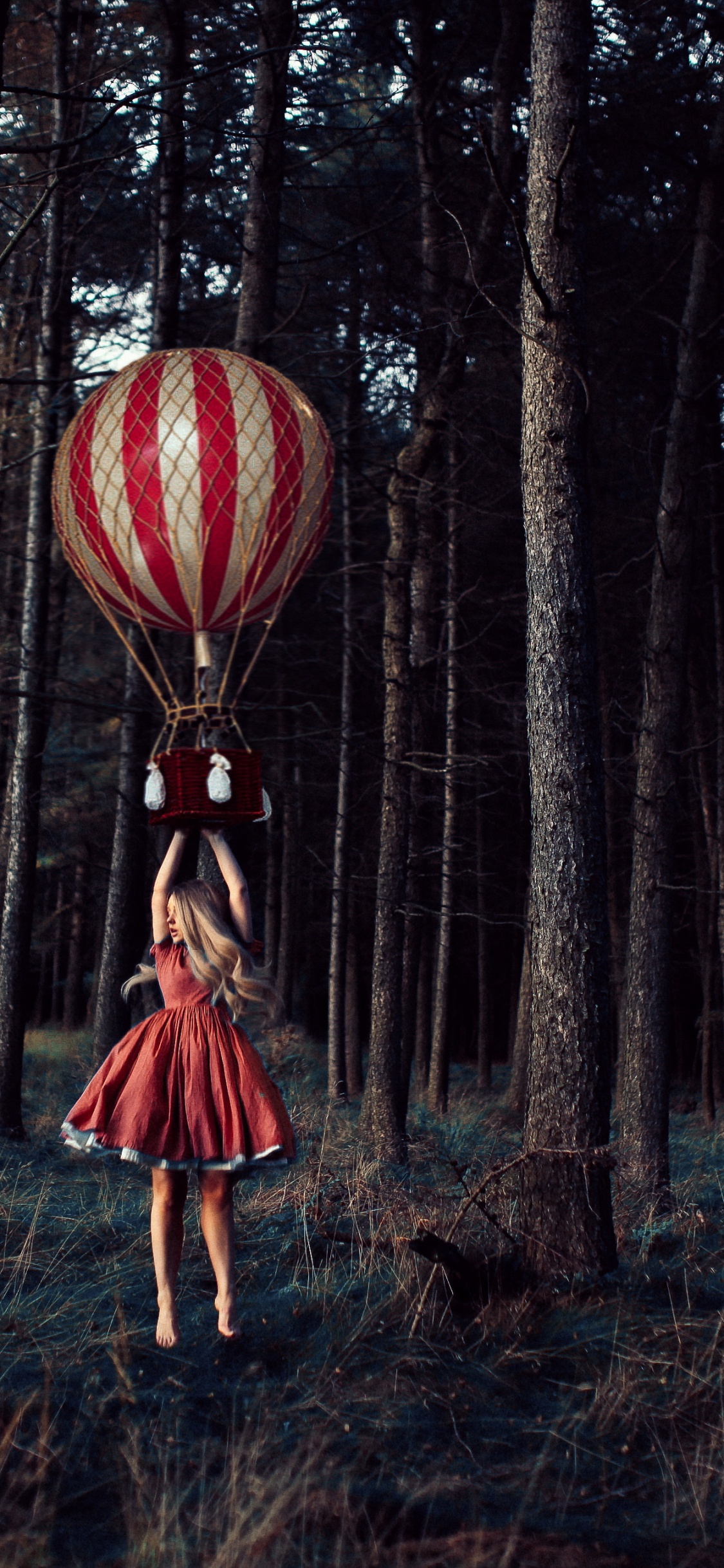 Nature, Plant, Ecoregion, Hot Air Balloon, People in Nature. Wallpaper in 1125x2436 Resolution