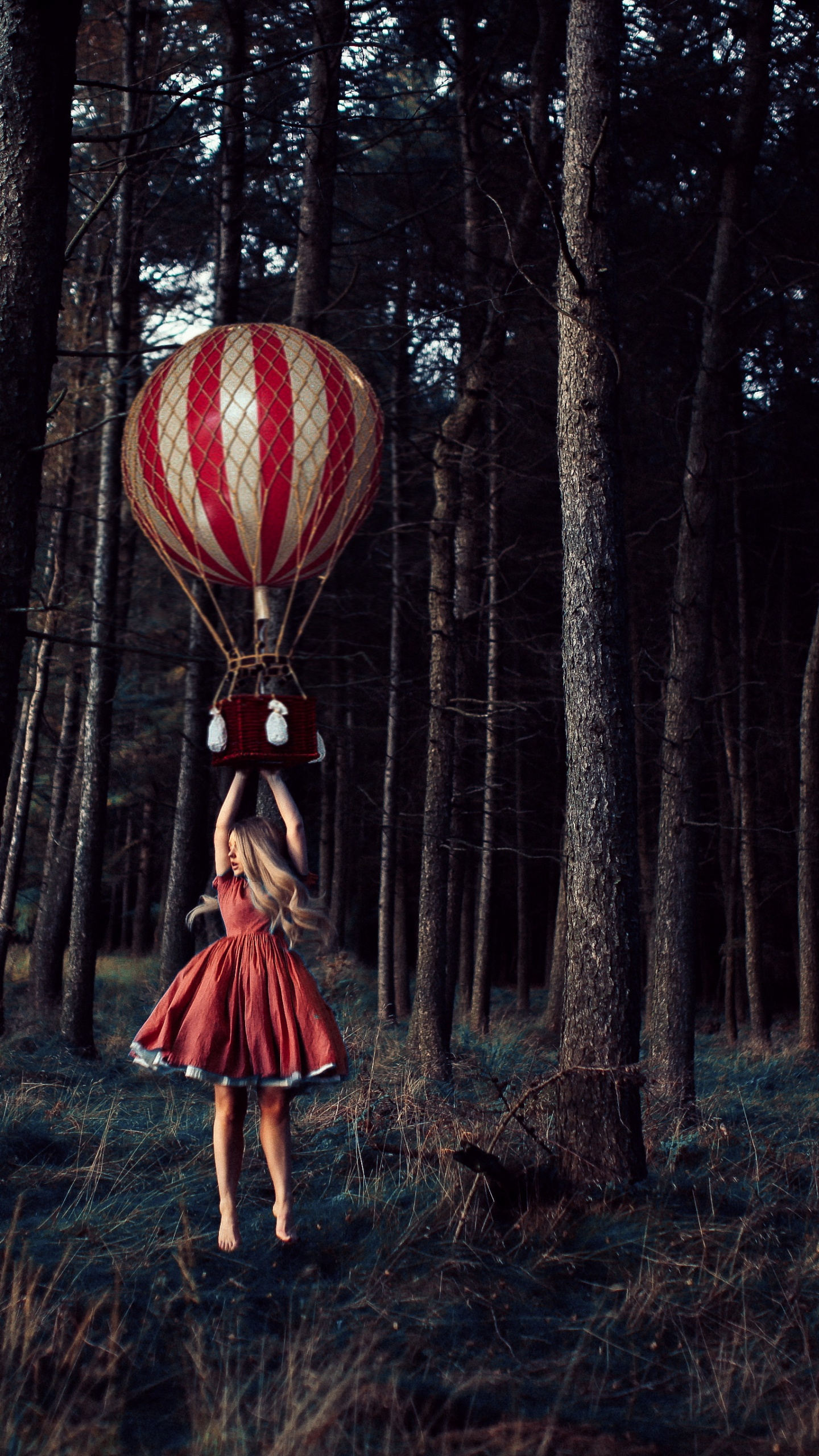 Nature, Plant, Ecoregion, Hot Air Balloon, People in Nature. Wallpaper in 1440x2560 Resolution