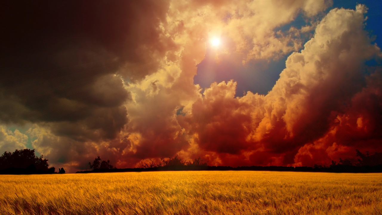 Brown Grass Field Under Cloudy Sky During Sunset. Wallpaper in 1280x720 Resolution