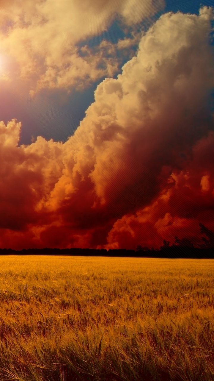 Brown Grass Field Under Cloudy Sky During Sunset. Wallpaper in 720x1280 Resolution