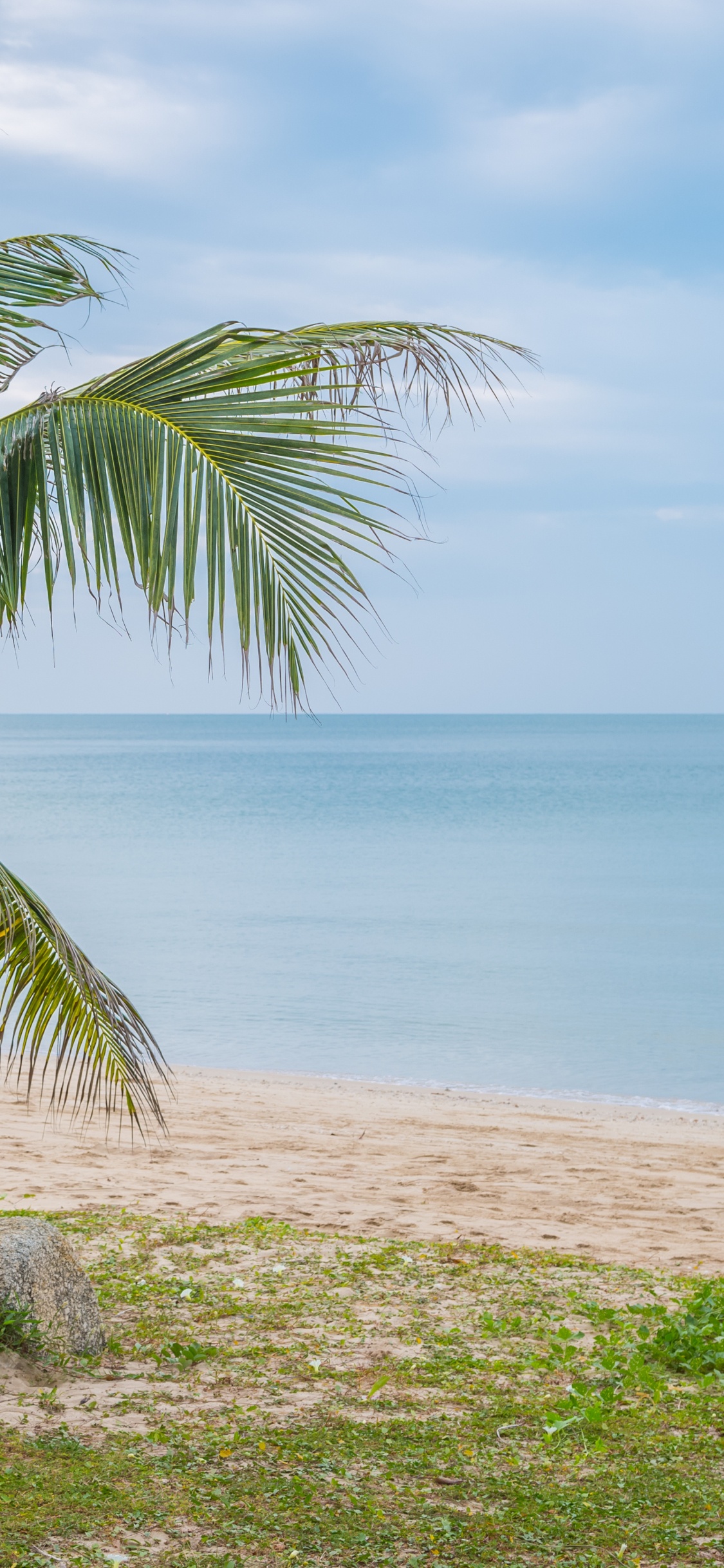 Mer, Plage, Eau, Coco, Plante Terrestre. Wallpaper in 1125x2436 Resolution