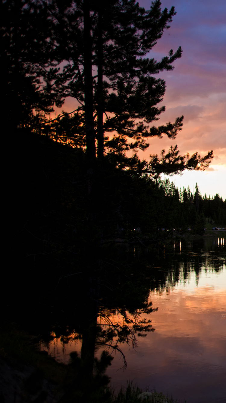 Green Trees Beside Body of Water During Sunset. Wallpaper in 750x1334 Resolution